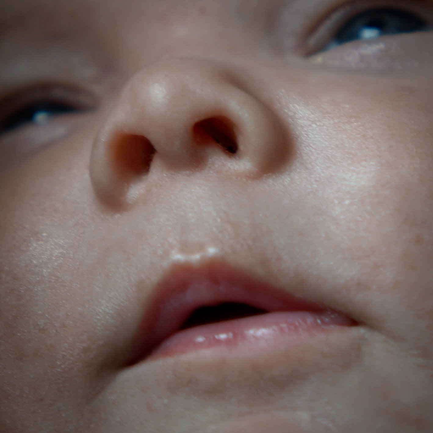 DSC01419.jpeg