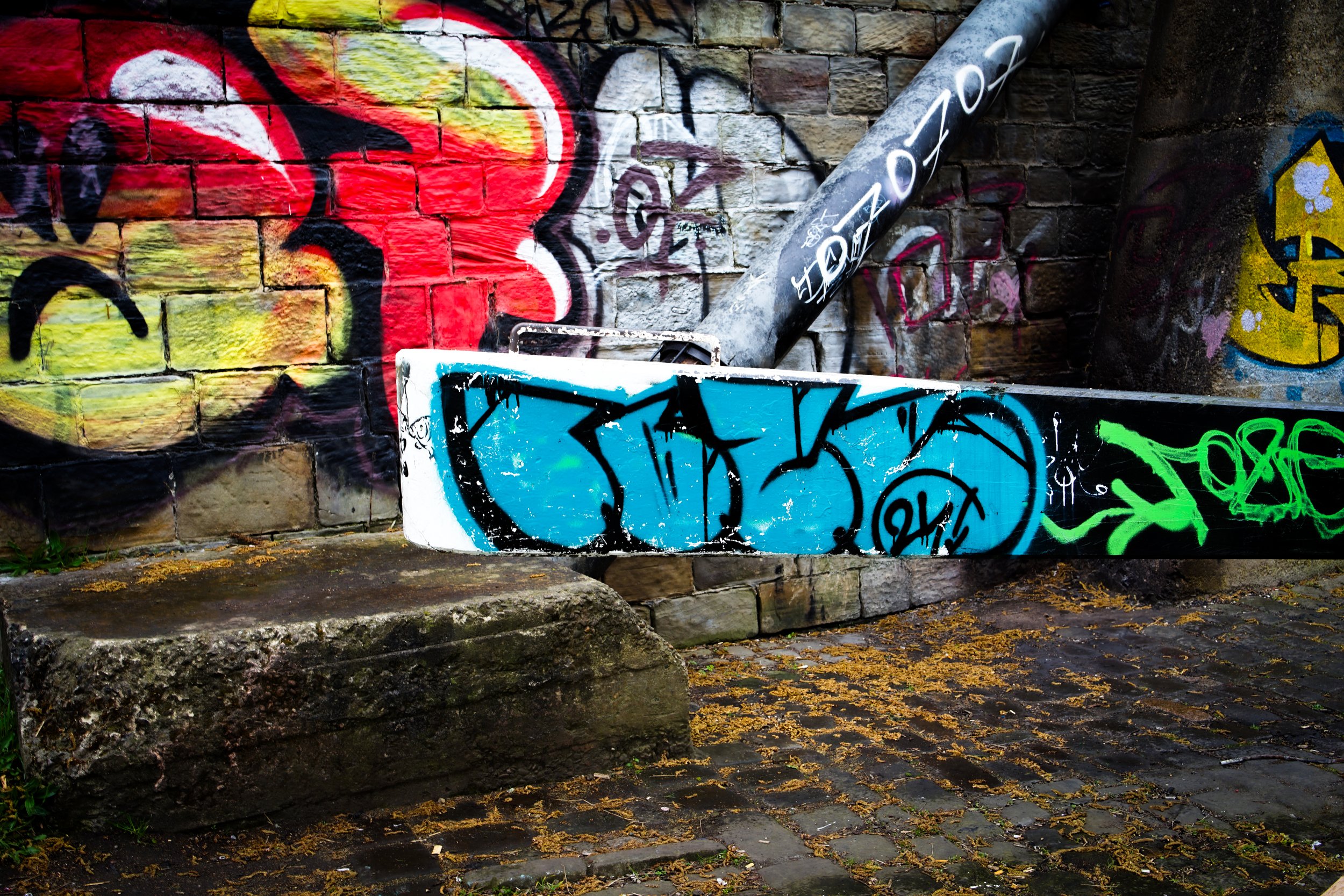 DSC02149.jpeg