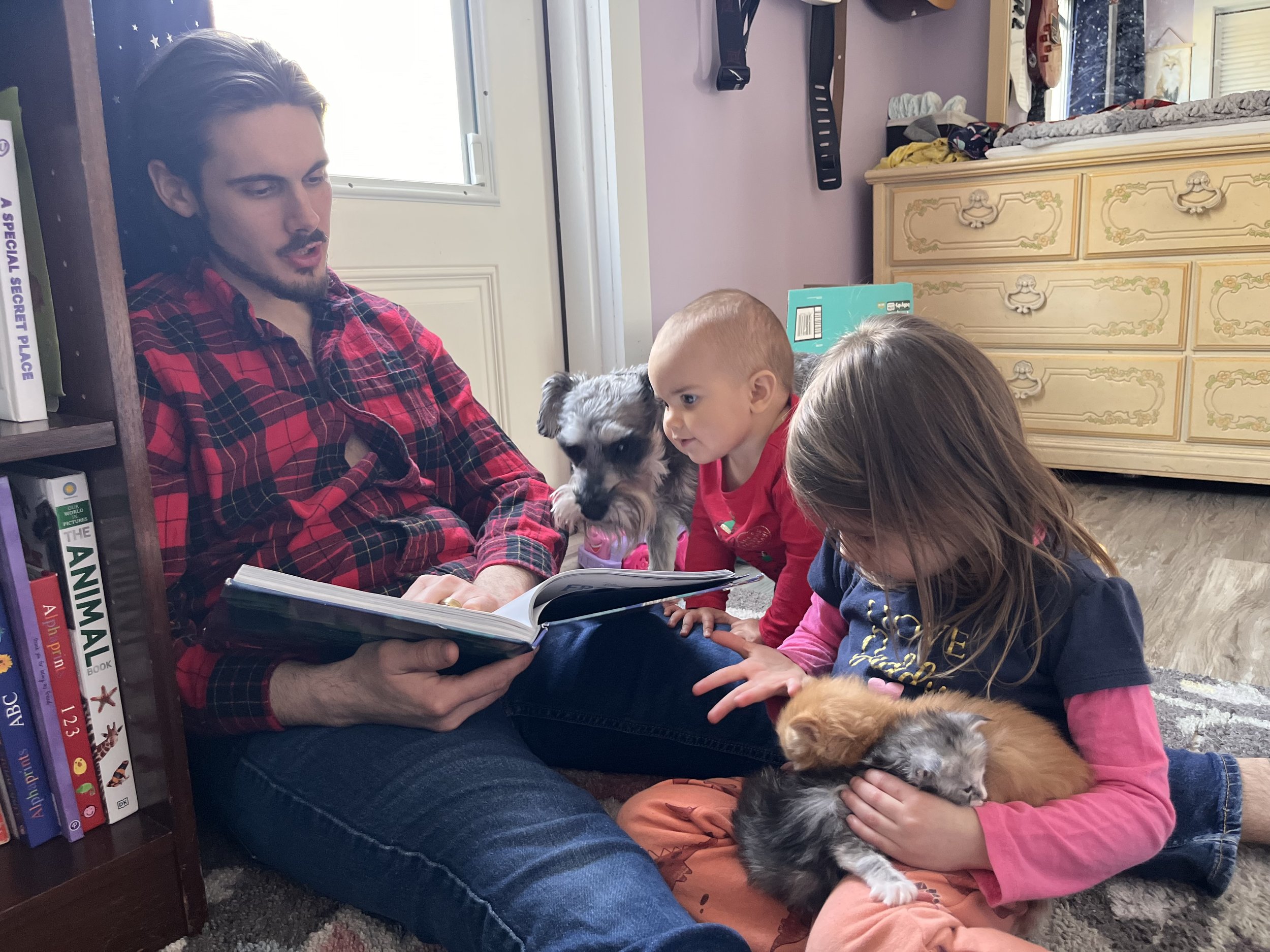 story time with Maine Coons