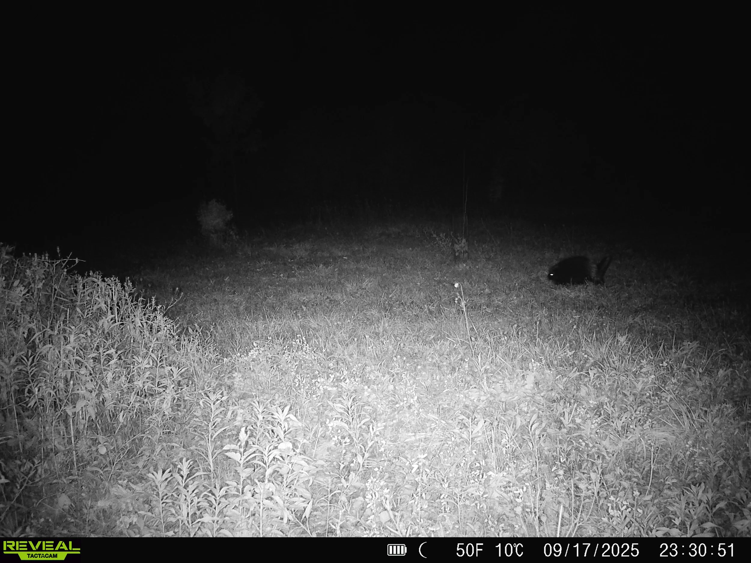 2914_tBP8kqVKSYKgXFlWPyEW_sept 20_SYFW0125.JPG