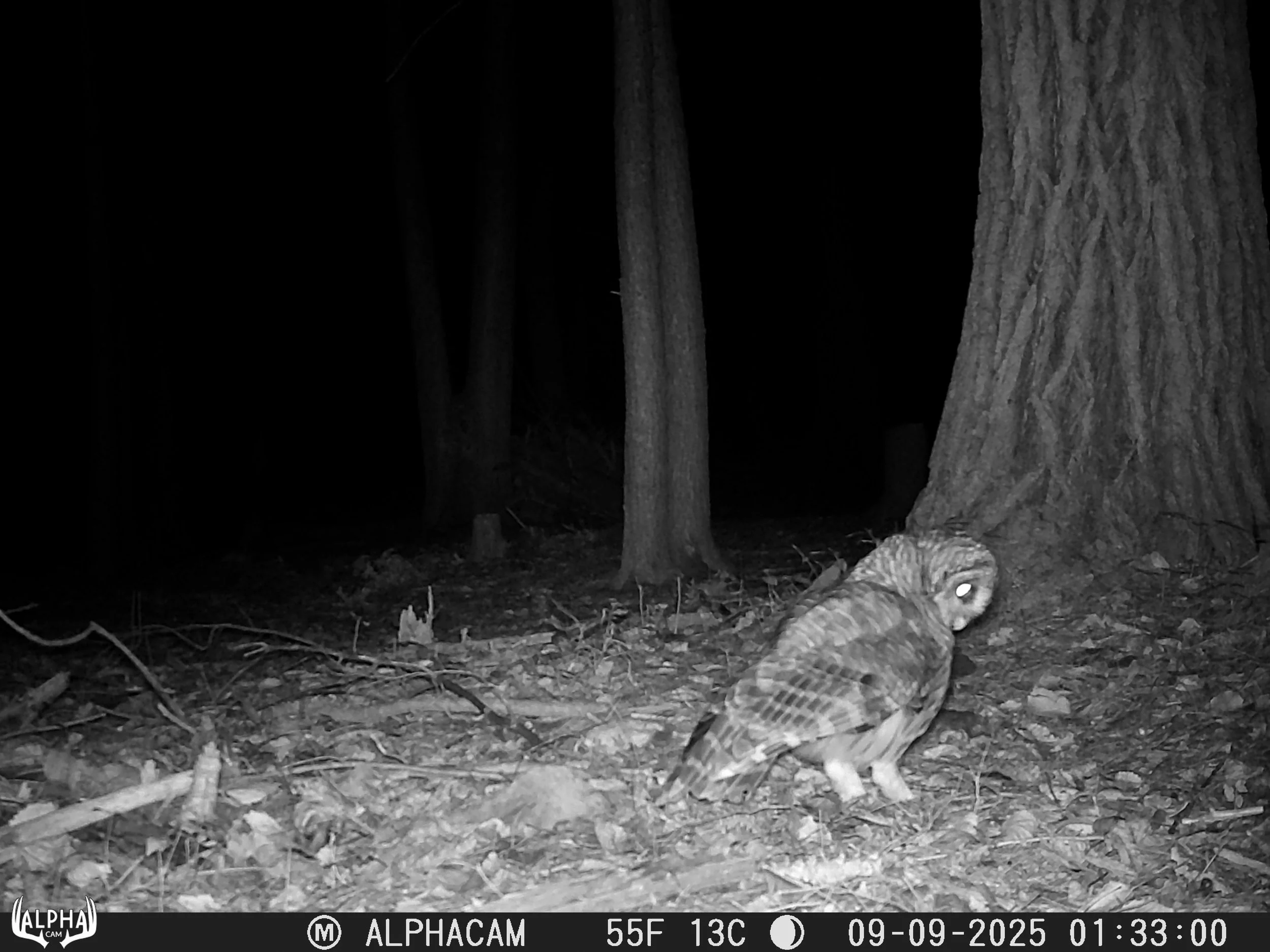 90_0XIvvPaF5JBh7PC6jYzW_September 21 2025_09090184.JPG