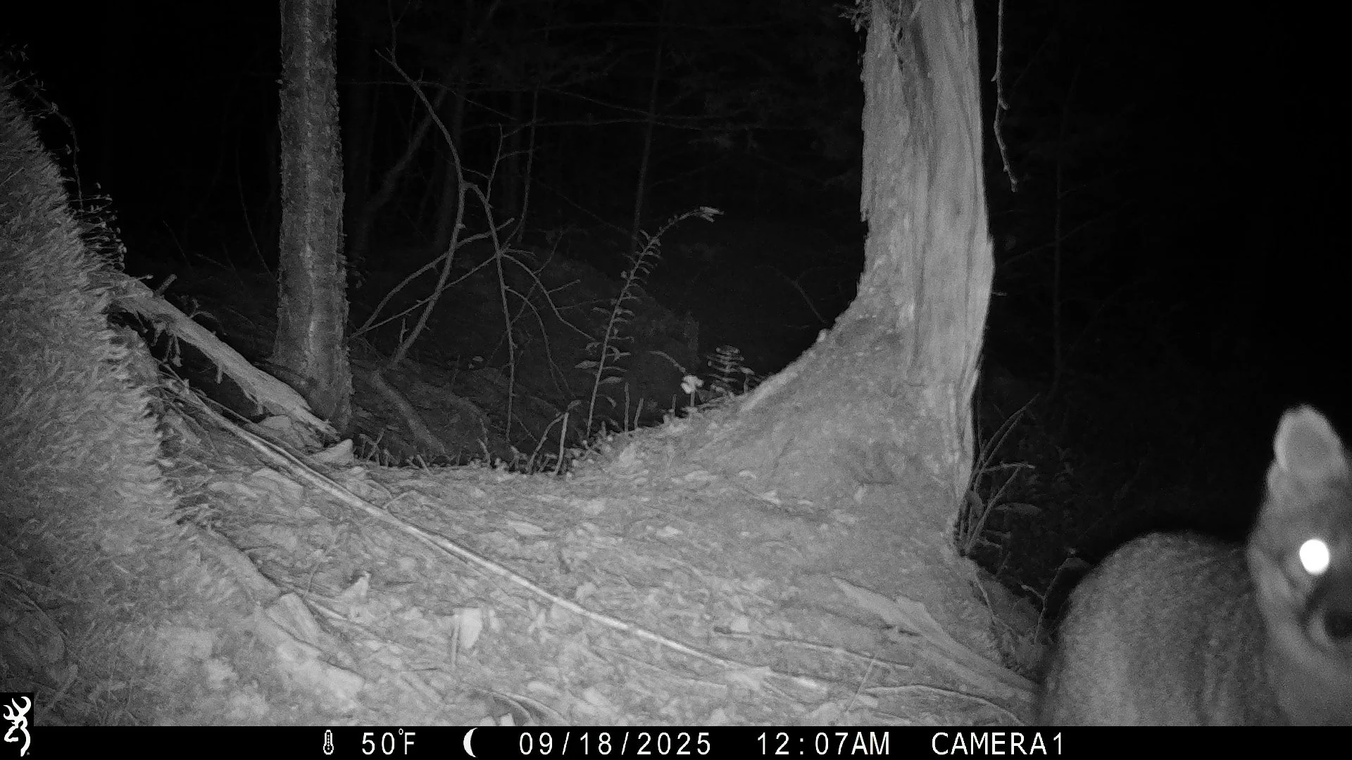 2631_OkEBSuUp3uncn4oOjpr1_2025-0919 snapshot creek_IMG_0249.JPG