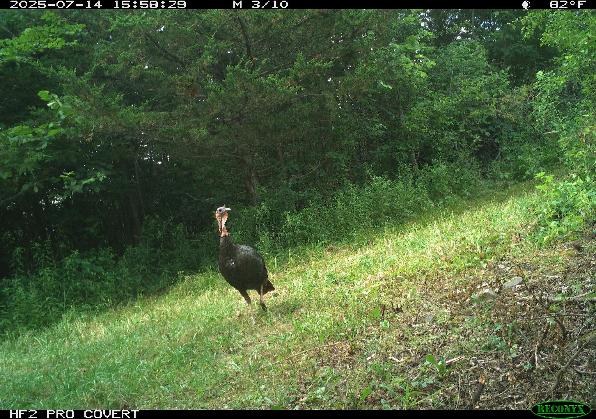 1659_mmaMQUcj8vnZoPbDCb2V_untitled folder_RCNX0343.JPG