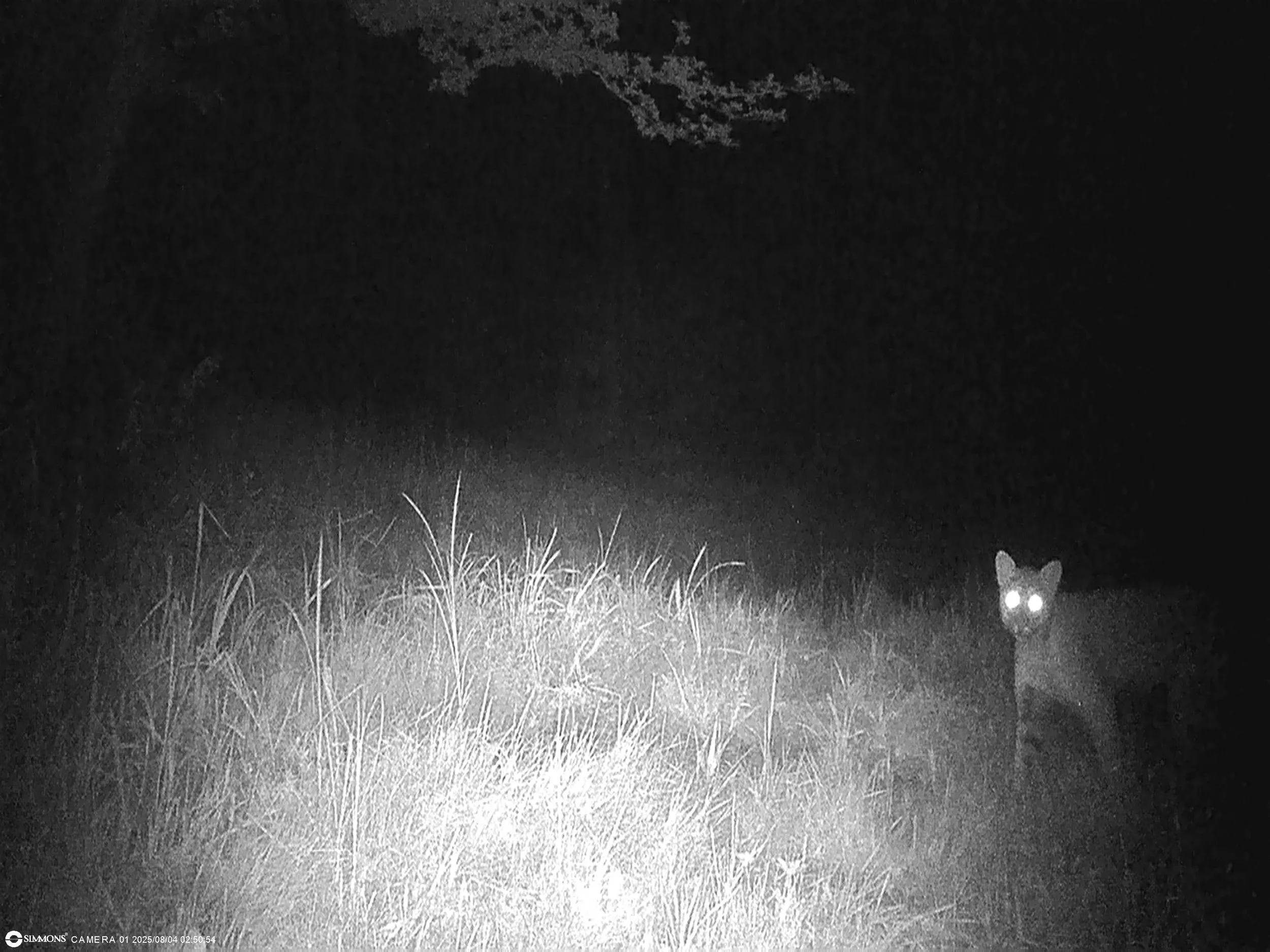 3350_zIhNSRiOf1Mt4d4aqjOP_Snapshot NY_00000099.JPG