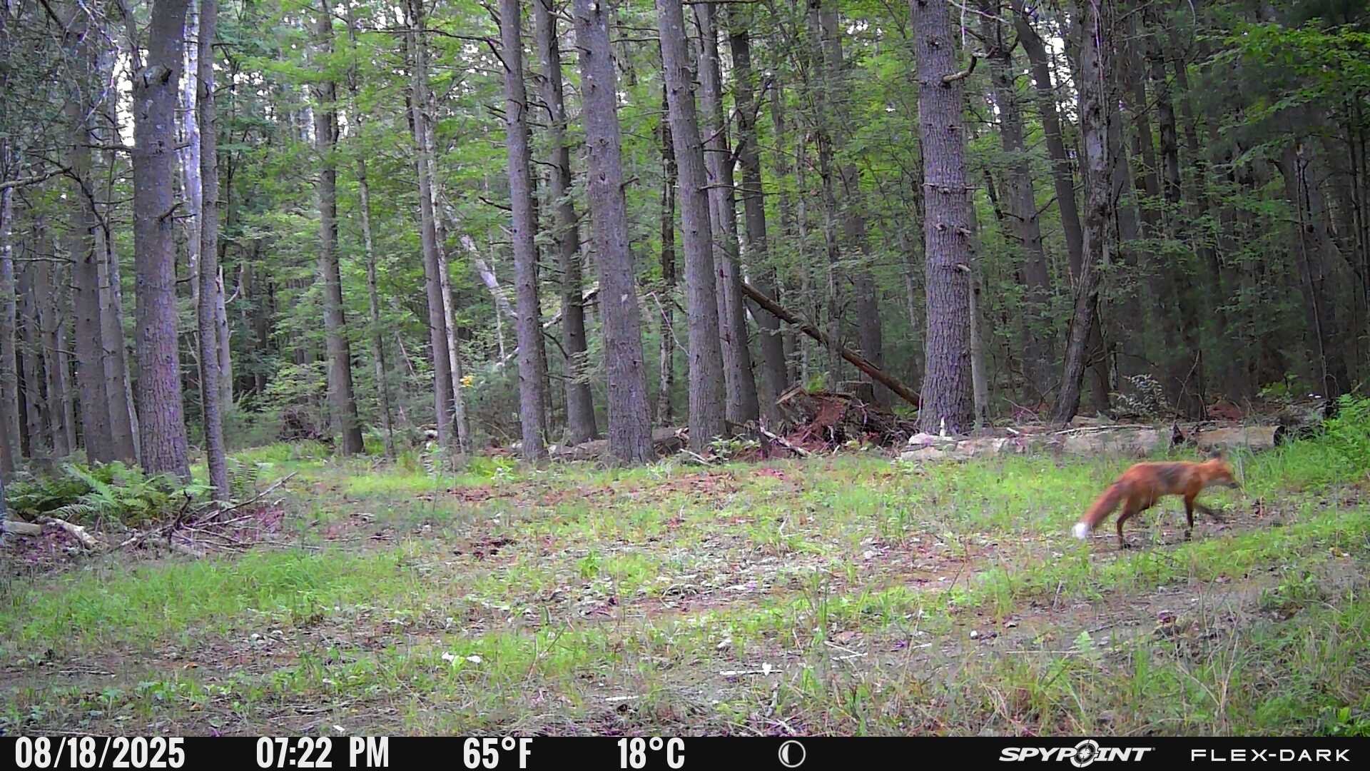 1045_YqJWWHP18aNimW9LRbEB_Folder 2B_PICT0274.JPG