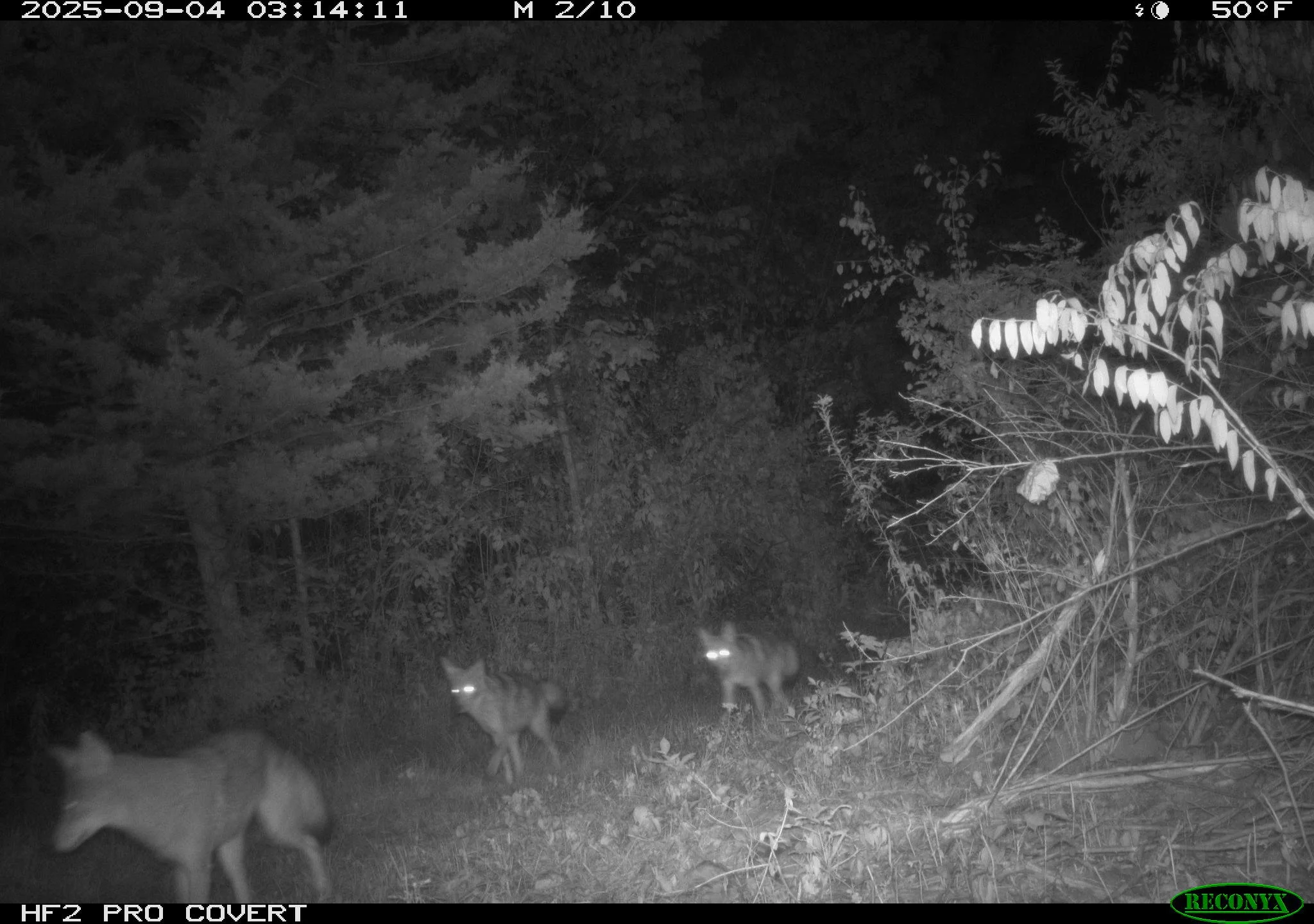 1659_DIOlgXCf8vvRBtrcN4k1_9.11.25 Snapshot_RCNX0752.JPG