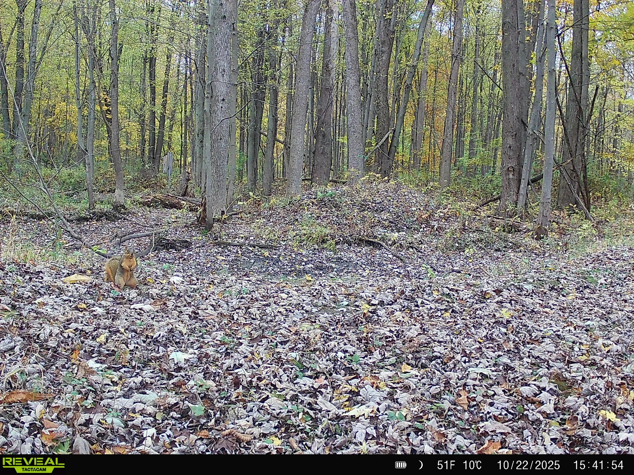 791_3xjlemKDuah2Fn4n9lcJ_DK 11-1-25_SYFW0025.JPG