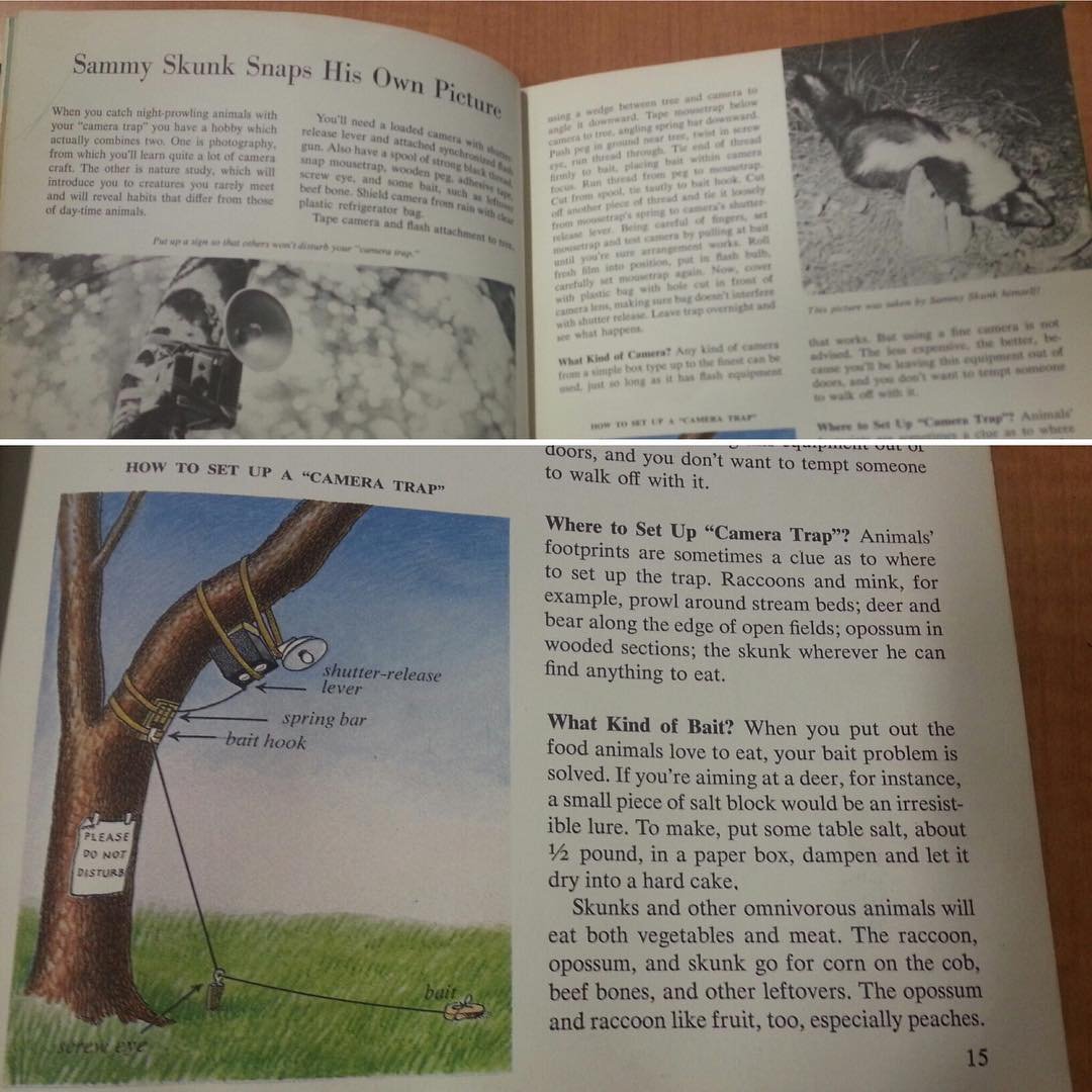 Instructions for an old-school trail camera set up in a children's outdoor activity book! Proof that our work is fun :)