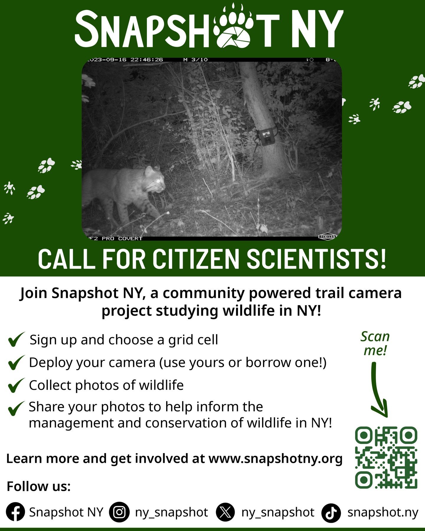 📸 Meet Snapshot NY! 🐾
We&rsquo;re building a statewide network of trail cameras to monitor New York&rsquo;s wild mammals&mdash;and you can be part of it!

From black bears in the Adirondacks to foxes in your own backyard, Snapshot NY is a citizen s