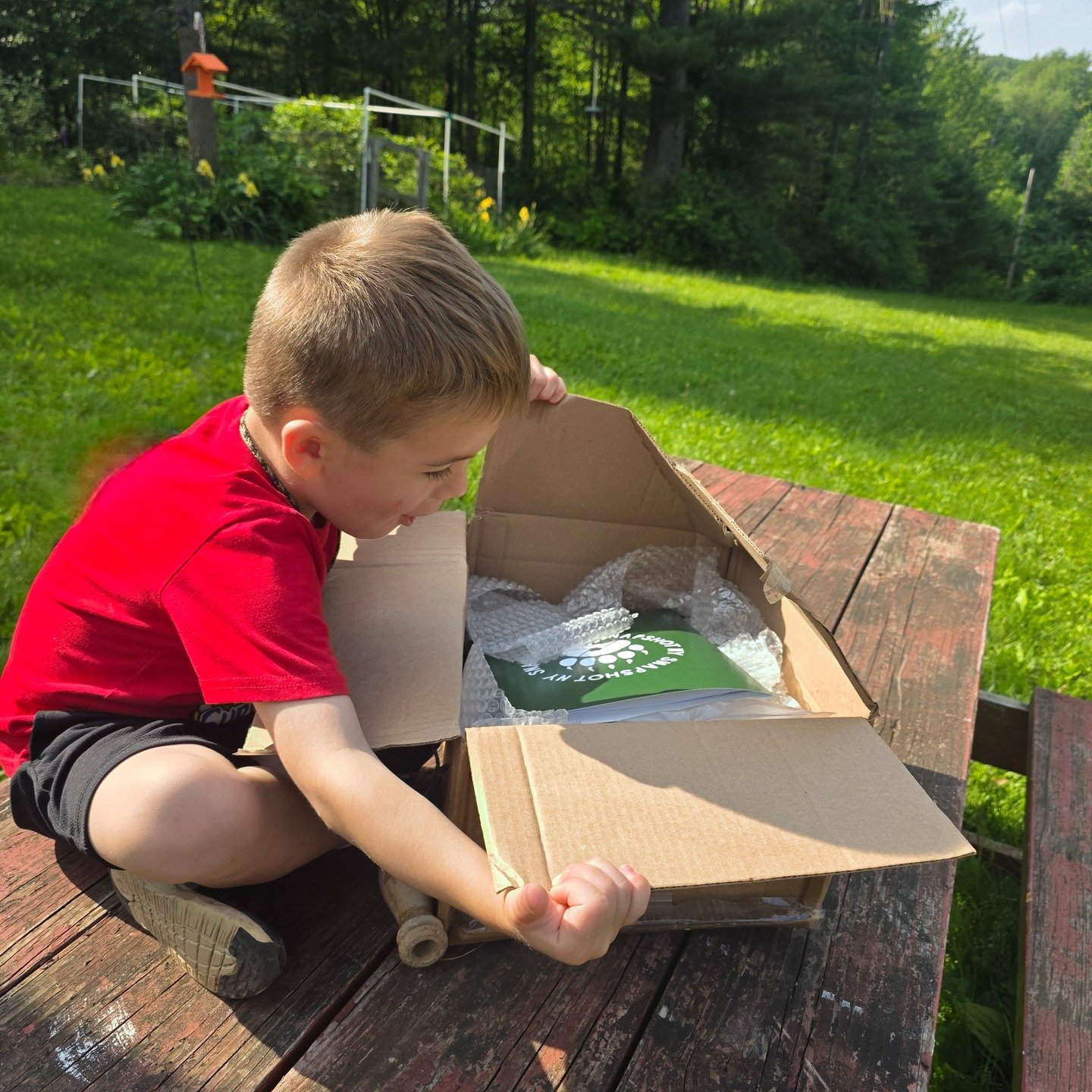 We have our very first Snapshot NY little helper! 

We also get that excited when we unbox a new trail camera. Just wait till you see all the photos of NY's critters! 

#Snapshotny #wildlife #trailcam #wildlifeconservation #citizenscience #cameratrap