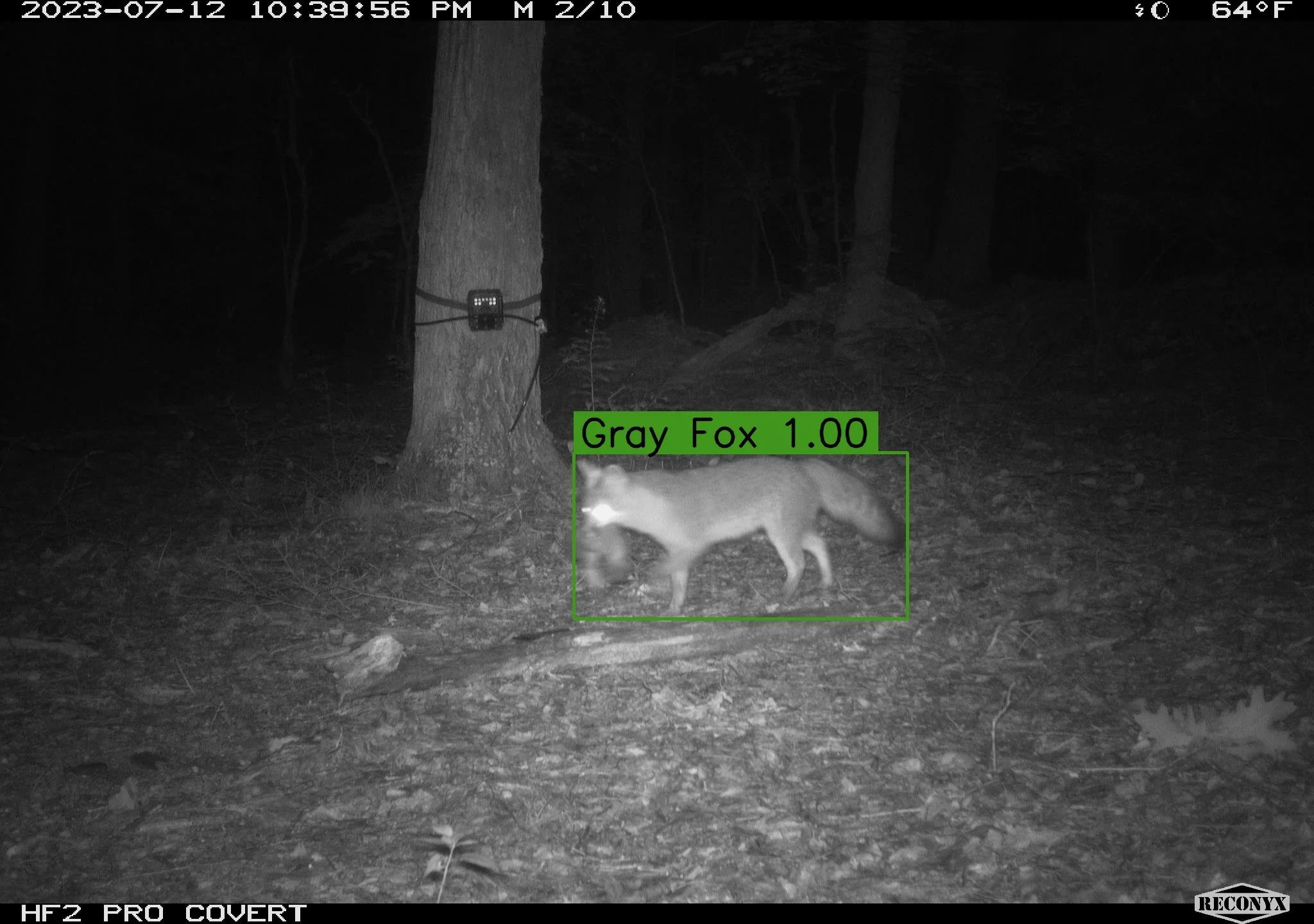 Processing images - what’s the process?