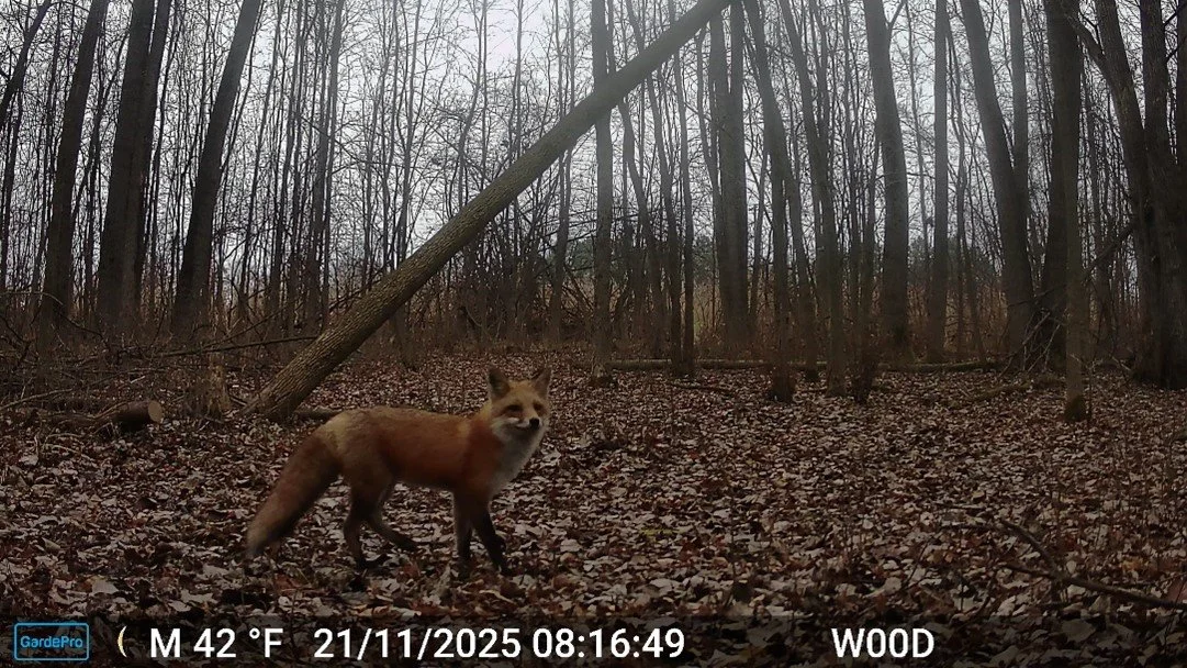 It's time to vote for your favorite photo of the month! We had 39 submissions! Congrats to the top 10 contenders. 

Copy and paste the link https://tinyurl.com/DecVoting

Or find it in our bio!

Get your votes in before Dec. 31st! Good luck!