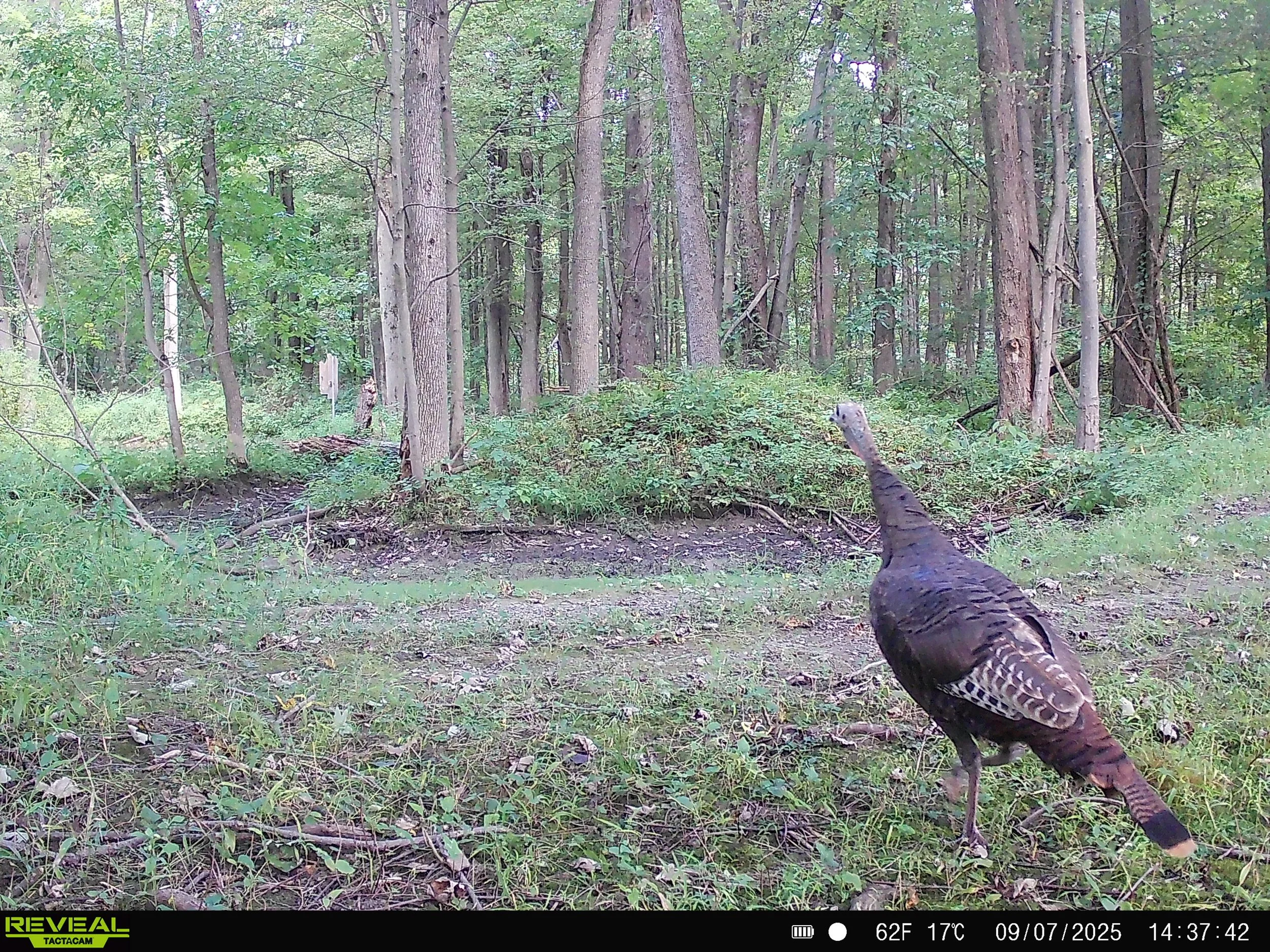 791_bi6zCjyvEjD5EALOIl4e_DK 1-01-25_SYFW0004.JPG