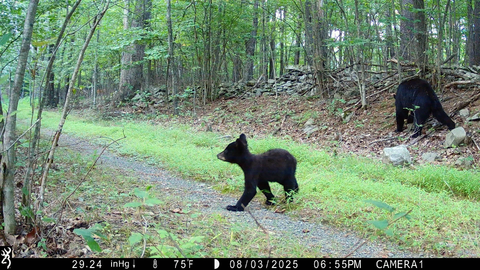 Check out this article about Snapshot NY in the Adirondack Almanac!