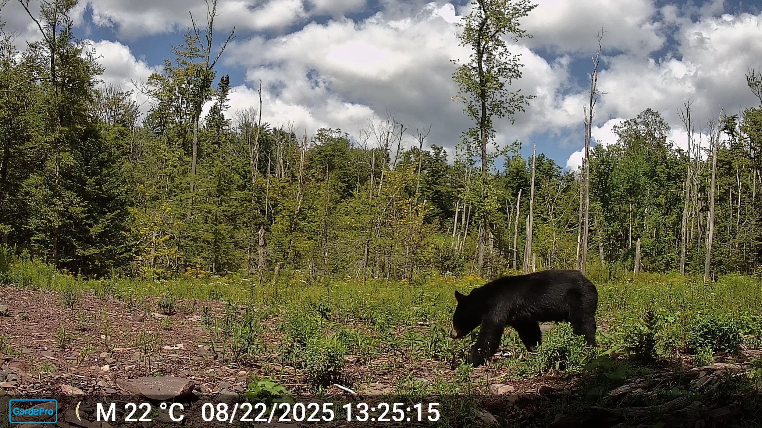 Why Long-Term Monitoring Matters