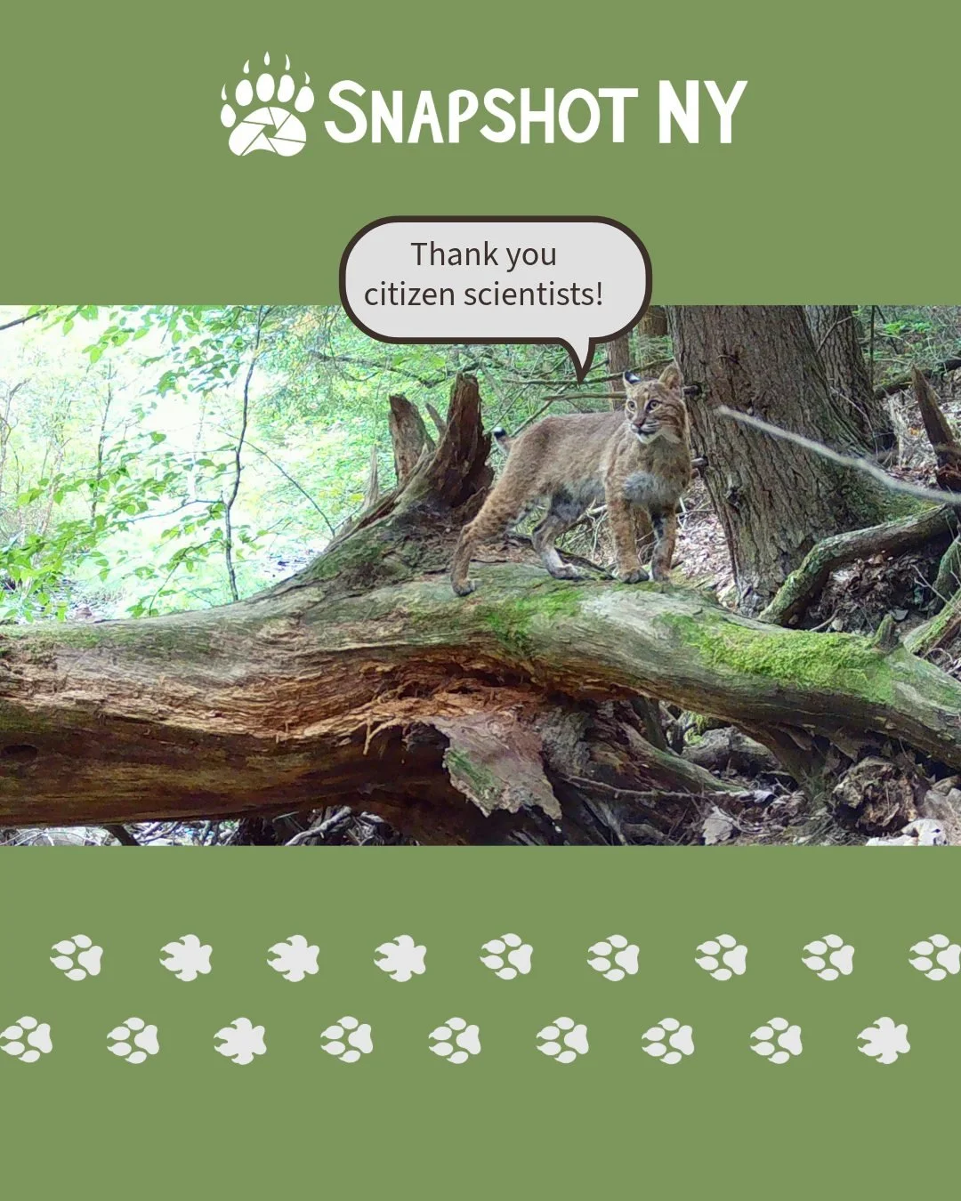 Wildlife Wednesday: Humans! (Homo sapiens) 🤸&zwj;♀️🤸&zwj;♂️🤸

Usually, for Wildlife Wednesday, we focus on the incredible animals captured by our cameras. But this April, we&rsquo;re shifting the spotlight to you - the amazing people who make Snap