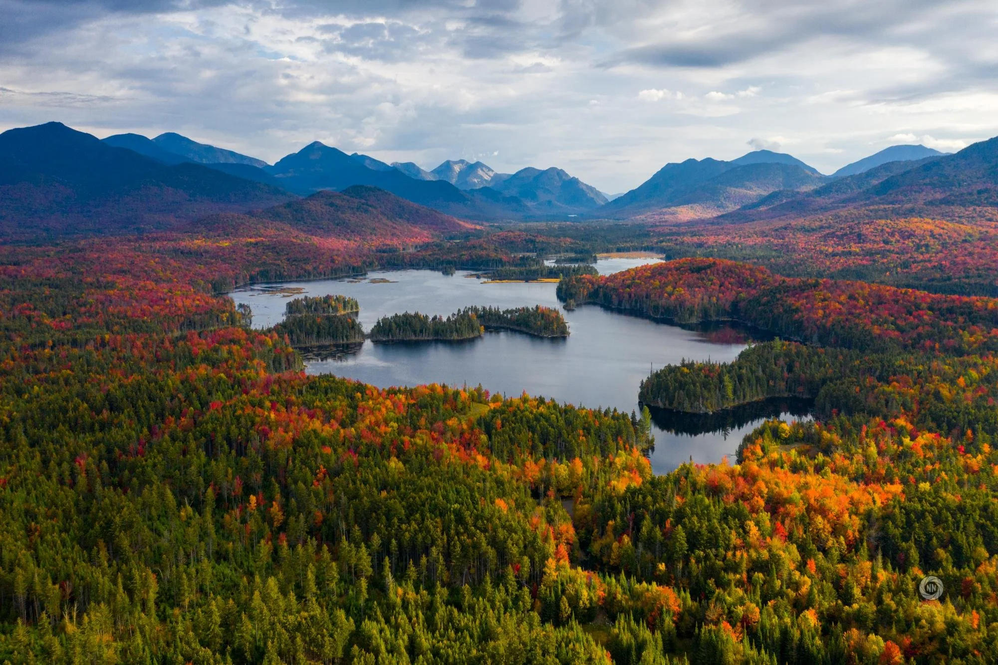 Mammals of the Adirondacks