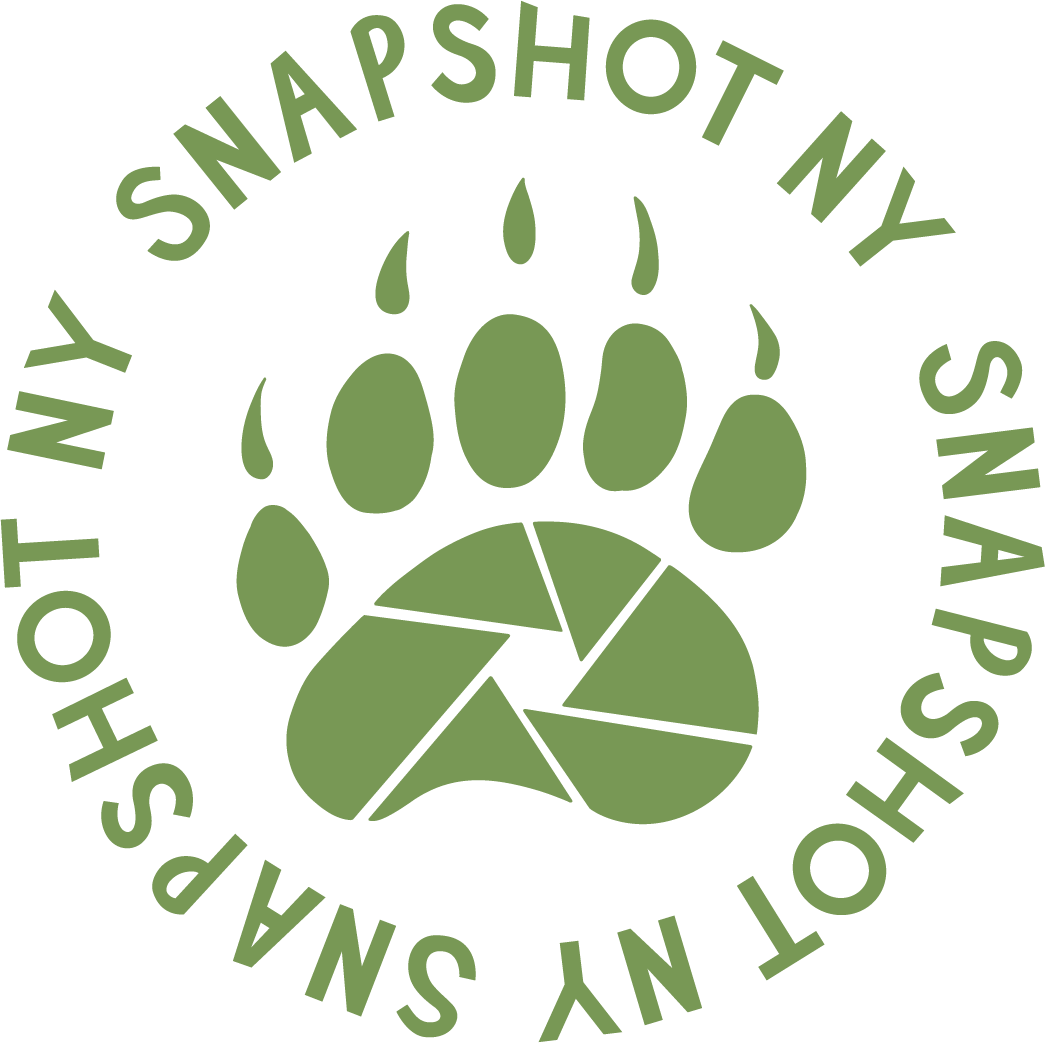Snapshot NY Volunteer Appreciation Event