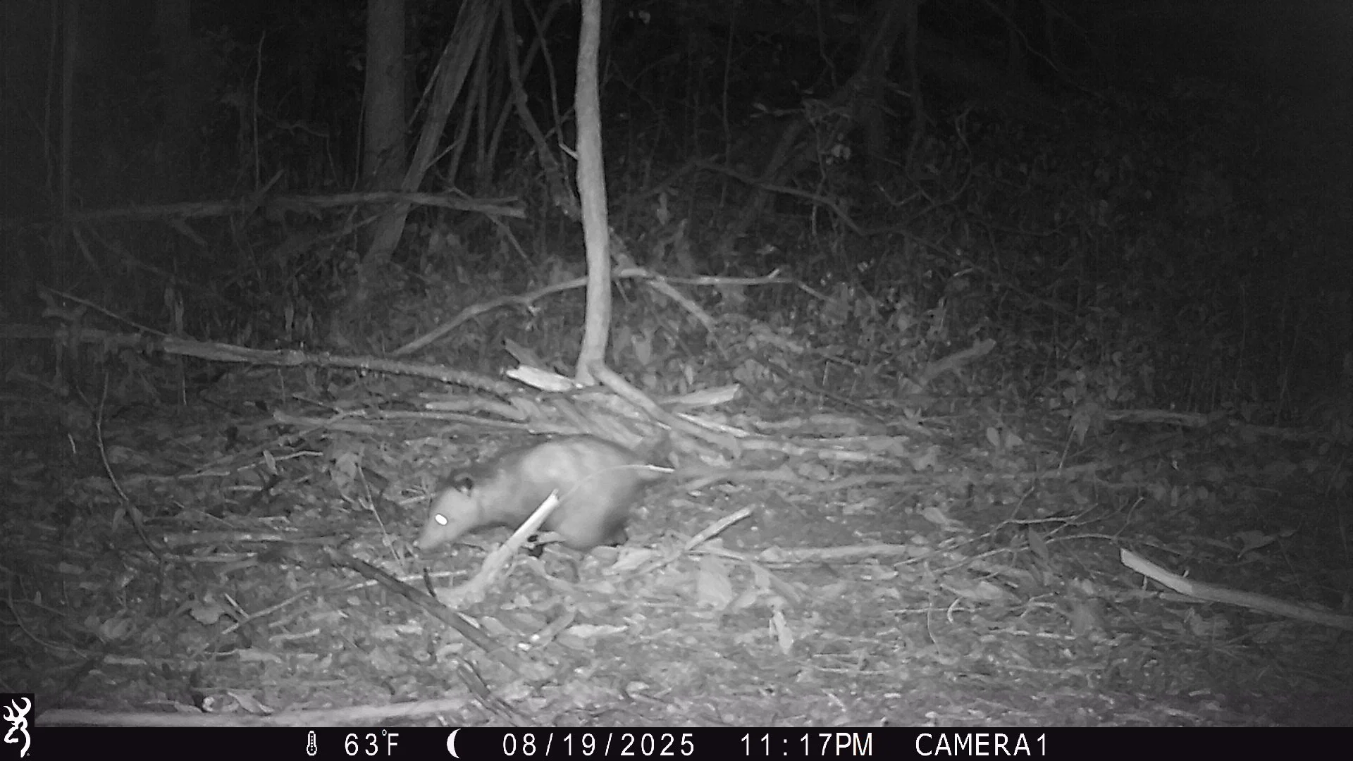 926_5KoHyW6DY7Q5NcvgWukp_Makyes Rd Check 1_IMG_0016.JPG