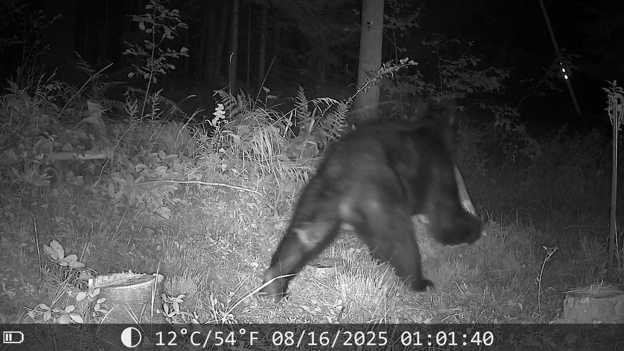 1037_ohyW4hcKq5XrI07IlSwU_Photos-1-001 (4)_2025-08-19_17.53.35.025_08D35564.jpg