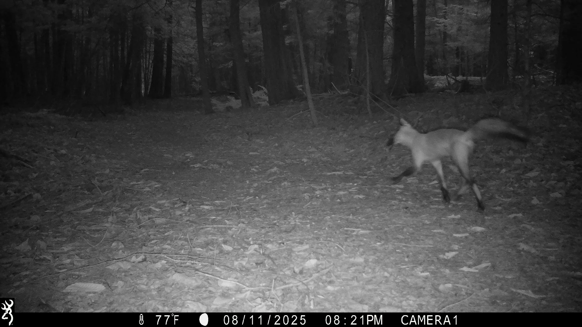 1353_TSe9BTvQrbGf5aQso4AK_snapshot 0812_IMG_0338.JPG