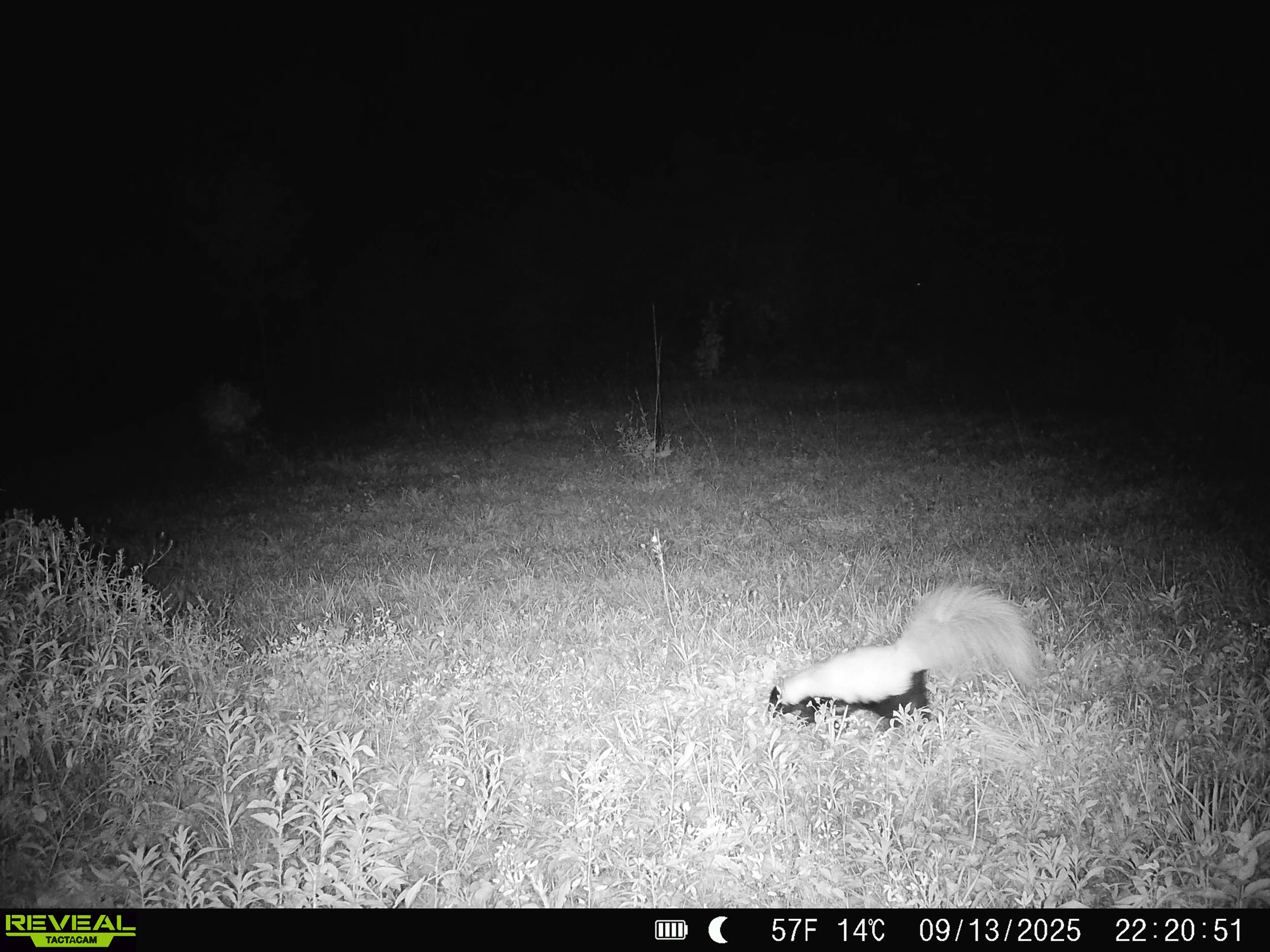 2914_GnOyy3npFTdT4jC9jEFM_sept 14_SYFW0191.JPG