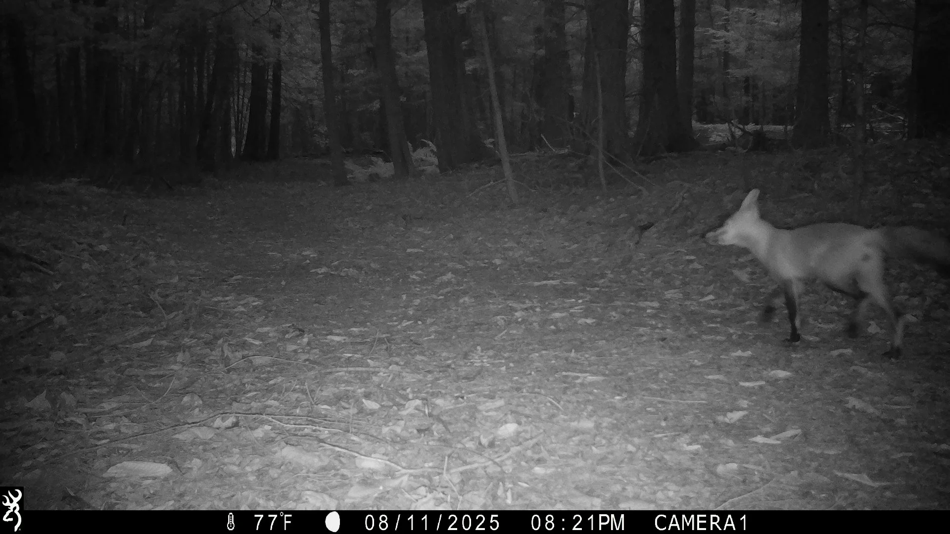 1353_TSe9BTvQrbGf5aQso4AK_snapshot 0812_IMG_0337.JPG