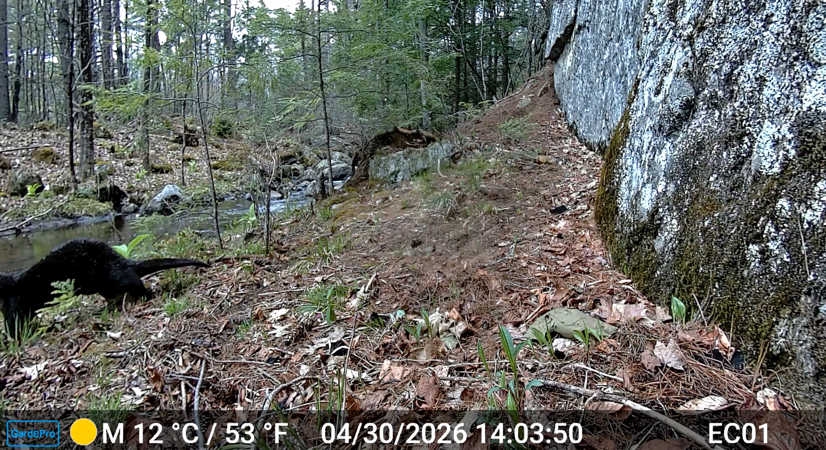 255_dNOez6vkTXY5OB8Ju86W_Deployment 9 (Eagle Mtn river)_otter4.png