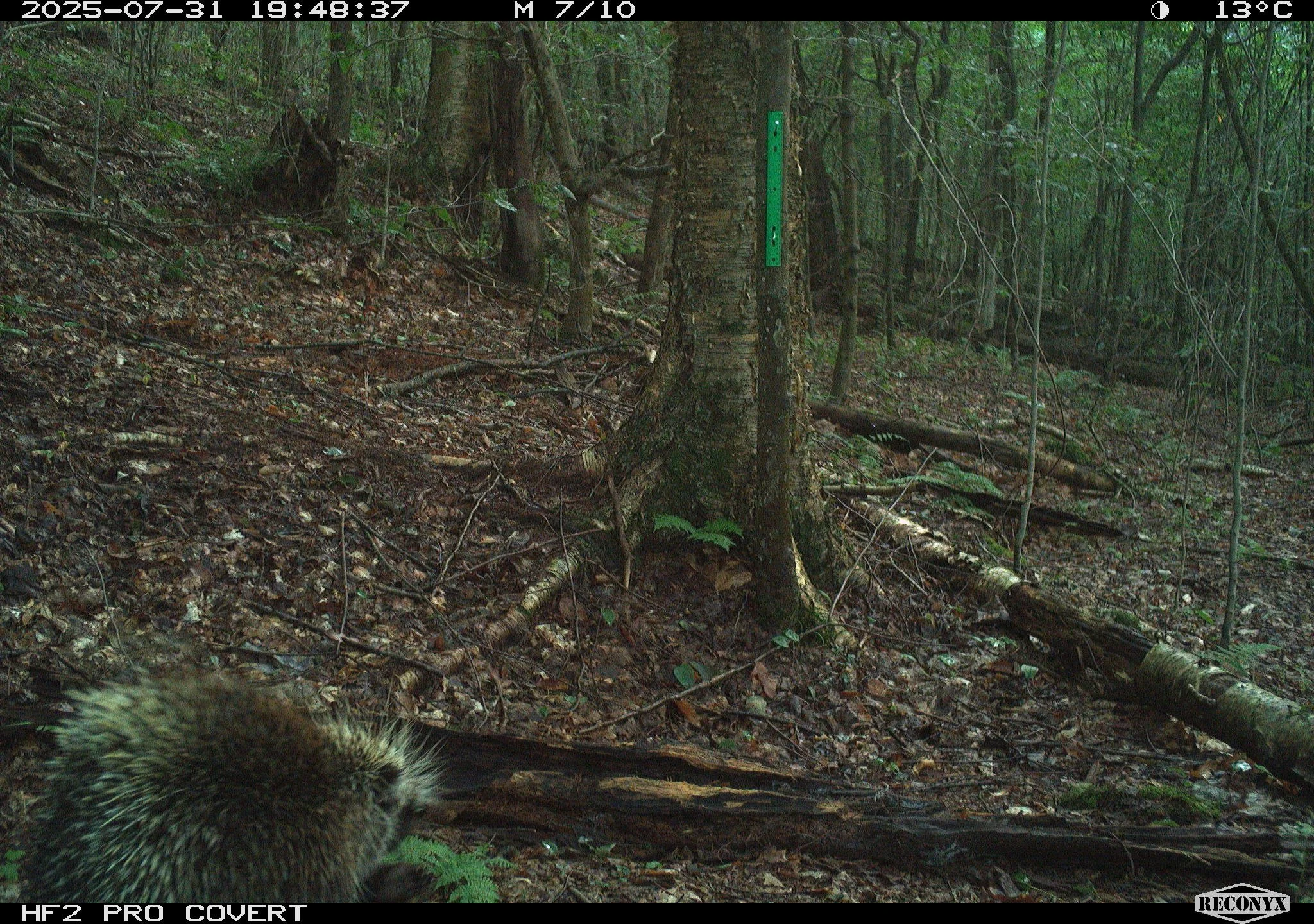 0_4W6HvkAWVBgMF7cbTRh8_R9_NE_44_1Aug2025_R9_NE_44_1Aug2025 (897).JPG