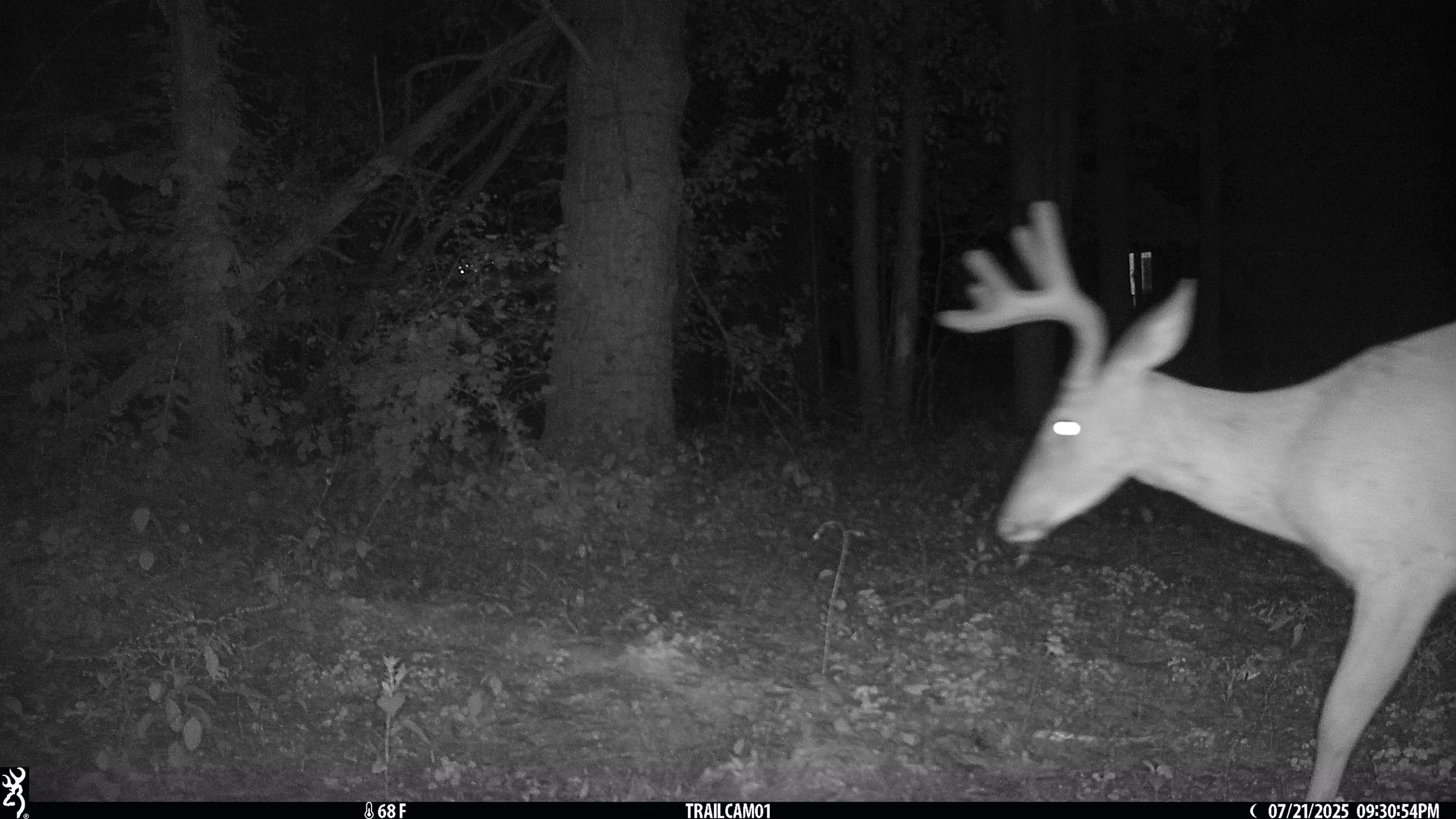 4442_44ebTuSvcZPVuL5q27Z3_7.18 thru 8.7 Snapshot NY_IMG_0226.JPG