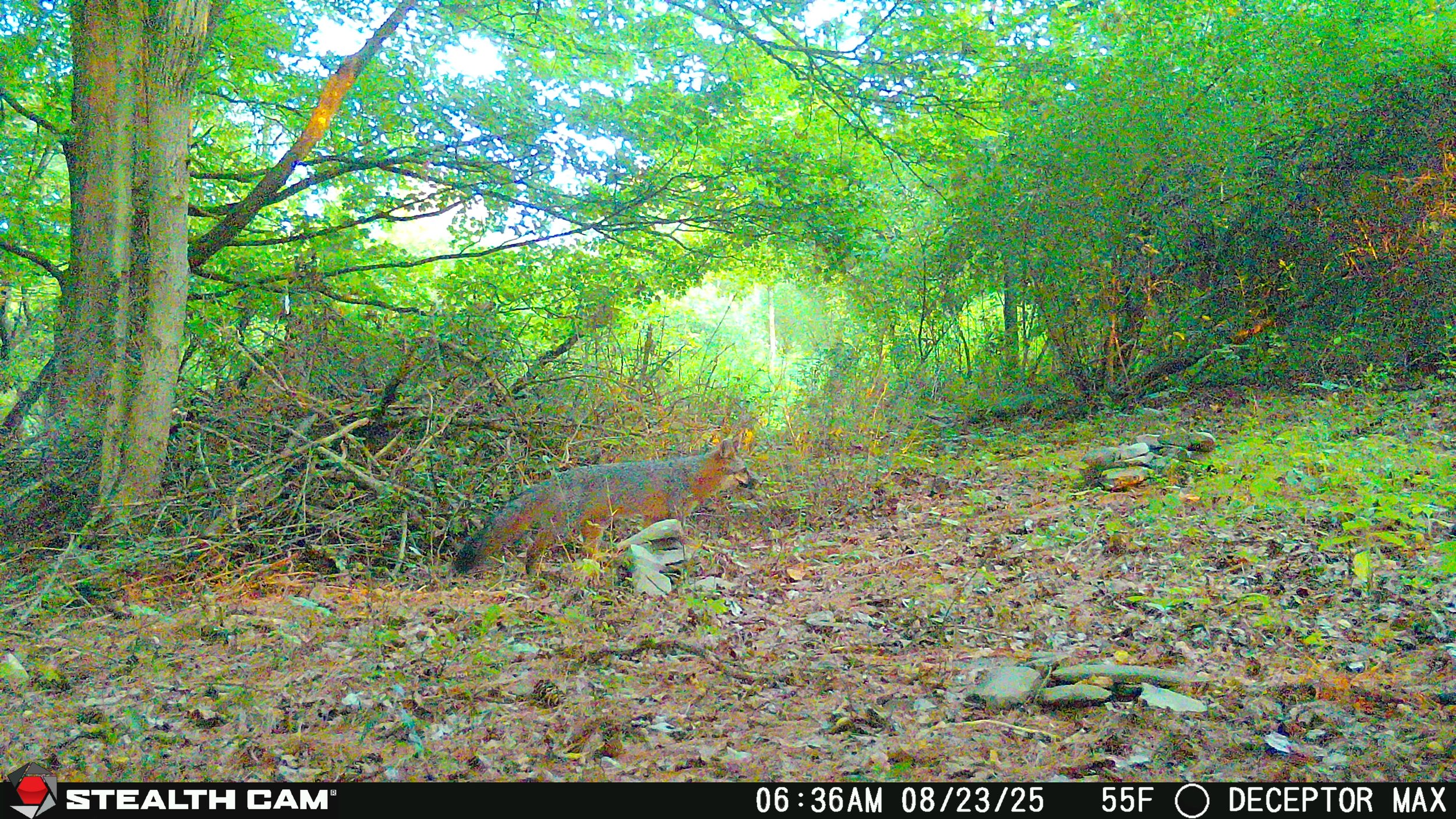 221_aS3jzgqcDYo88leHJegq_snapshot August 24_STC_0717.JPG