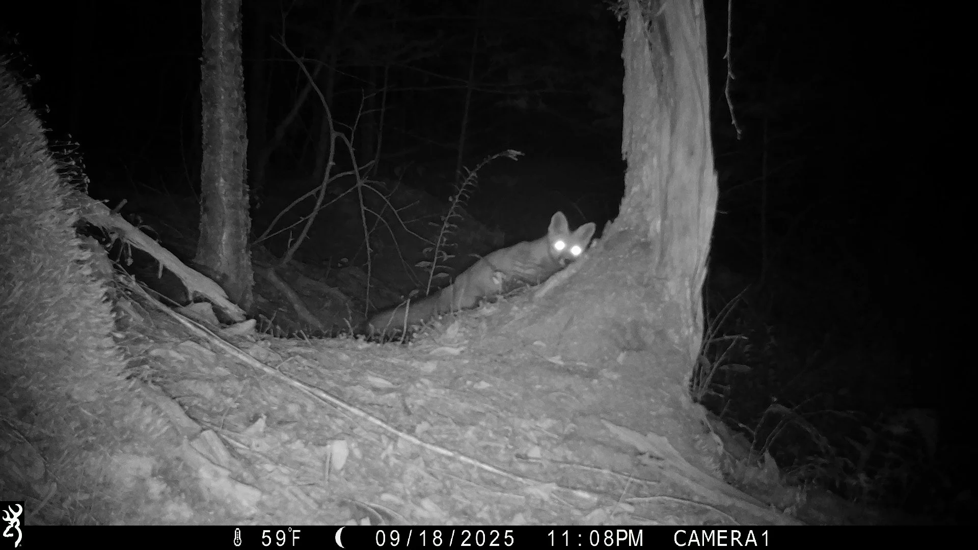 2631_OkEBSuUp3uncn4oOjpr1_2025-0919 snapshot creek_IMG_0370.JPG