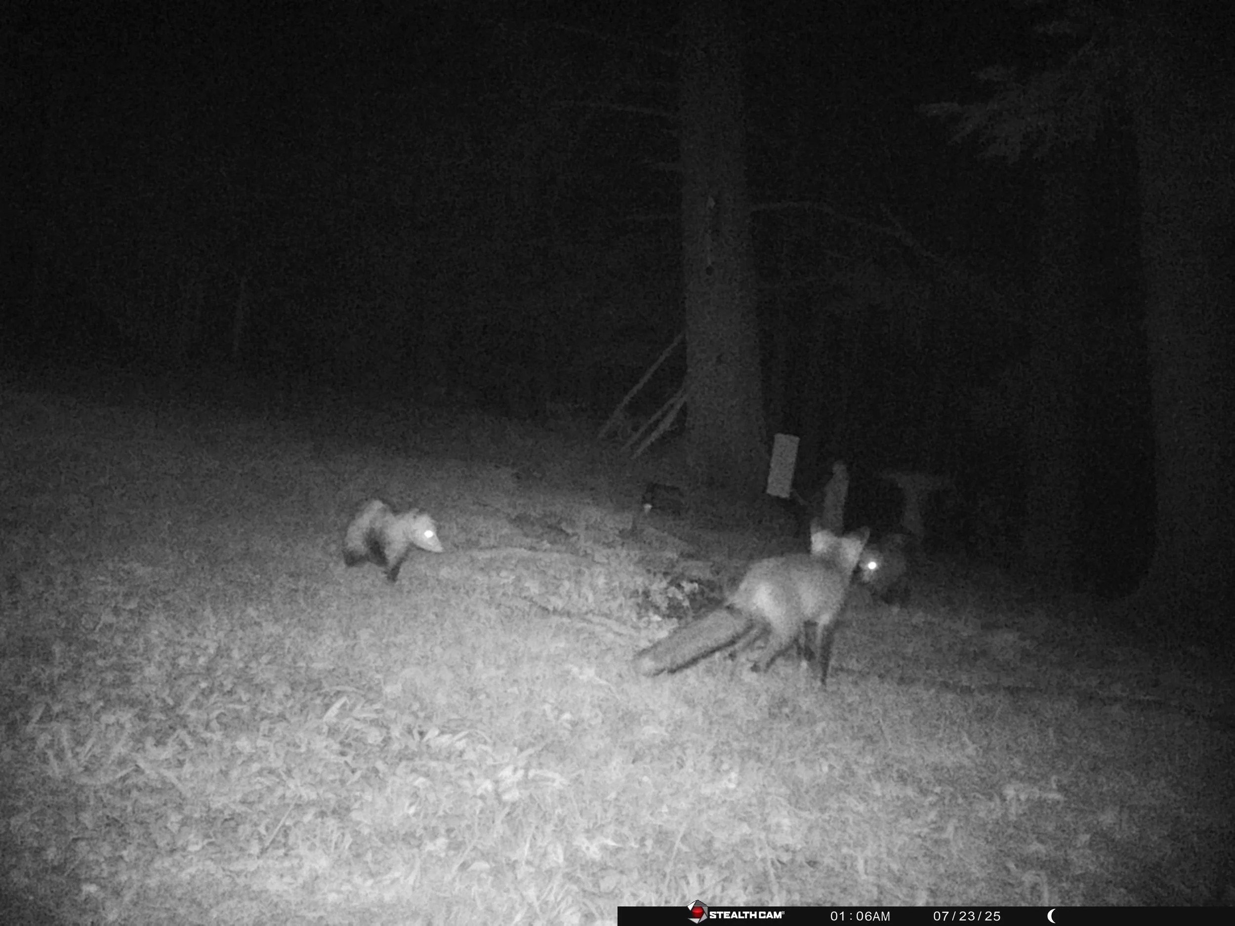 4087_Ft6onmGThOgpQPCQ9Y5K_New folder_STC_1572.JPG