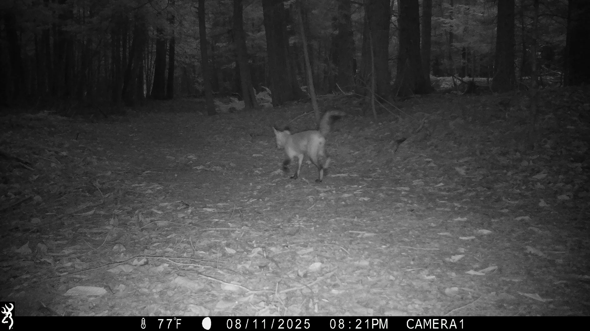 1353_TSe9BTvQrbGf5aQso4AK_snapshot 0812_IMG_0341.JPG