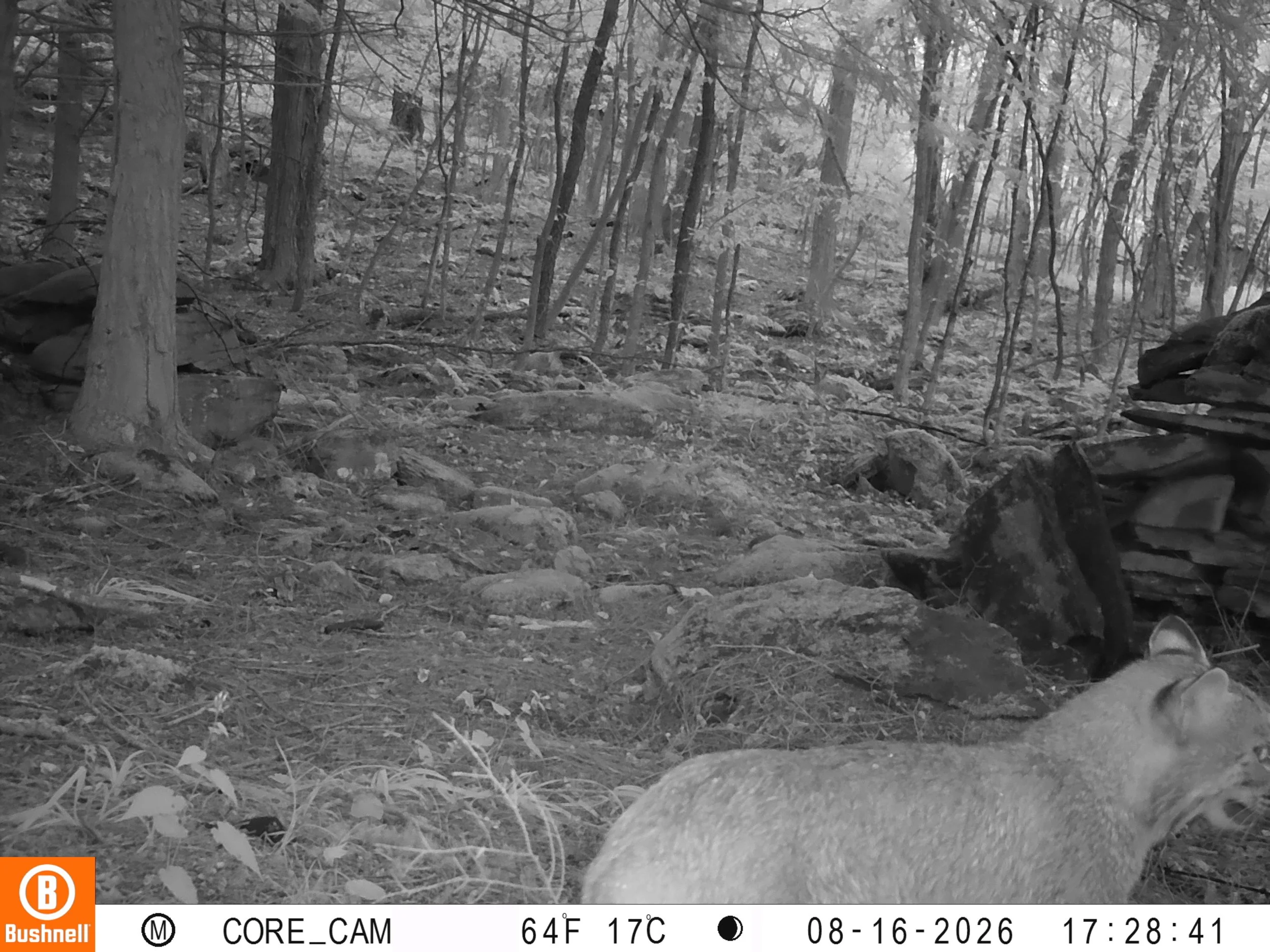 348_3Wuopue4kUgeuK11dc4l_Upload (9.5)_08160485.JPG