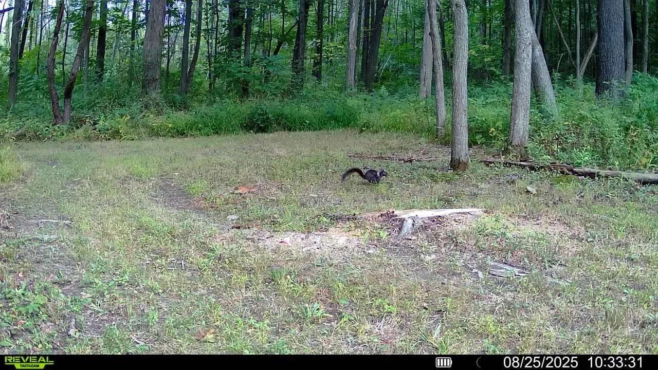 1869_Muc2qFXM1BwDMlV7ZR0Z_ PhotoSS_016578001986758-100-3-08252025103331-SYFW00191.jpg