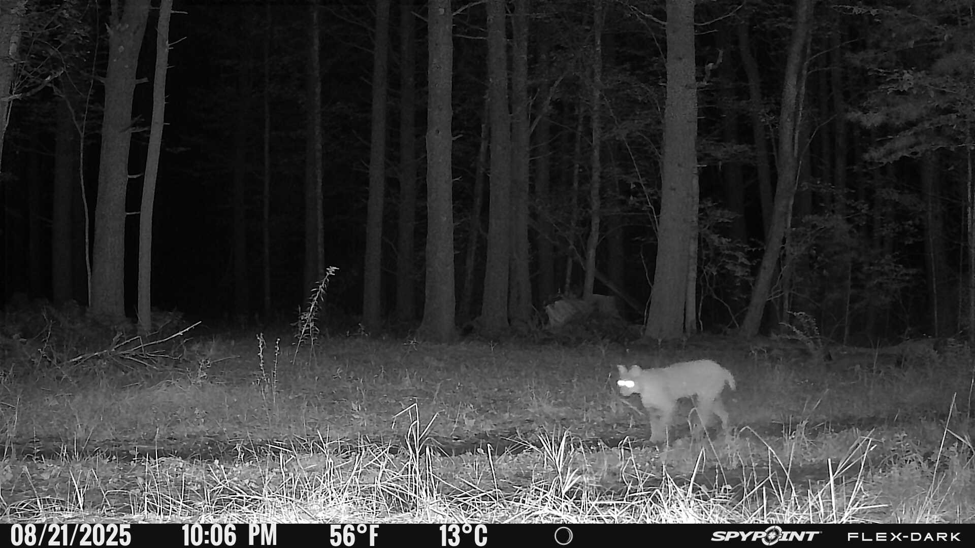 1045_YqJWWHP18aNimW9LRbEB_Folder 2B_PICT0404.JPG