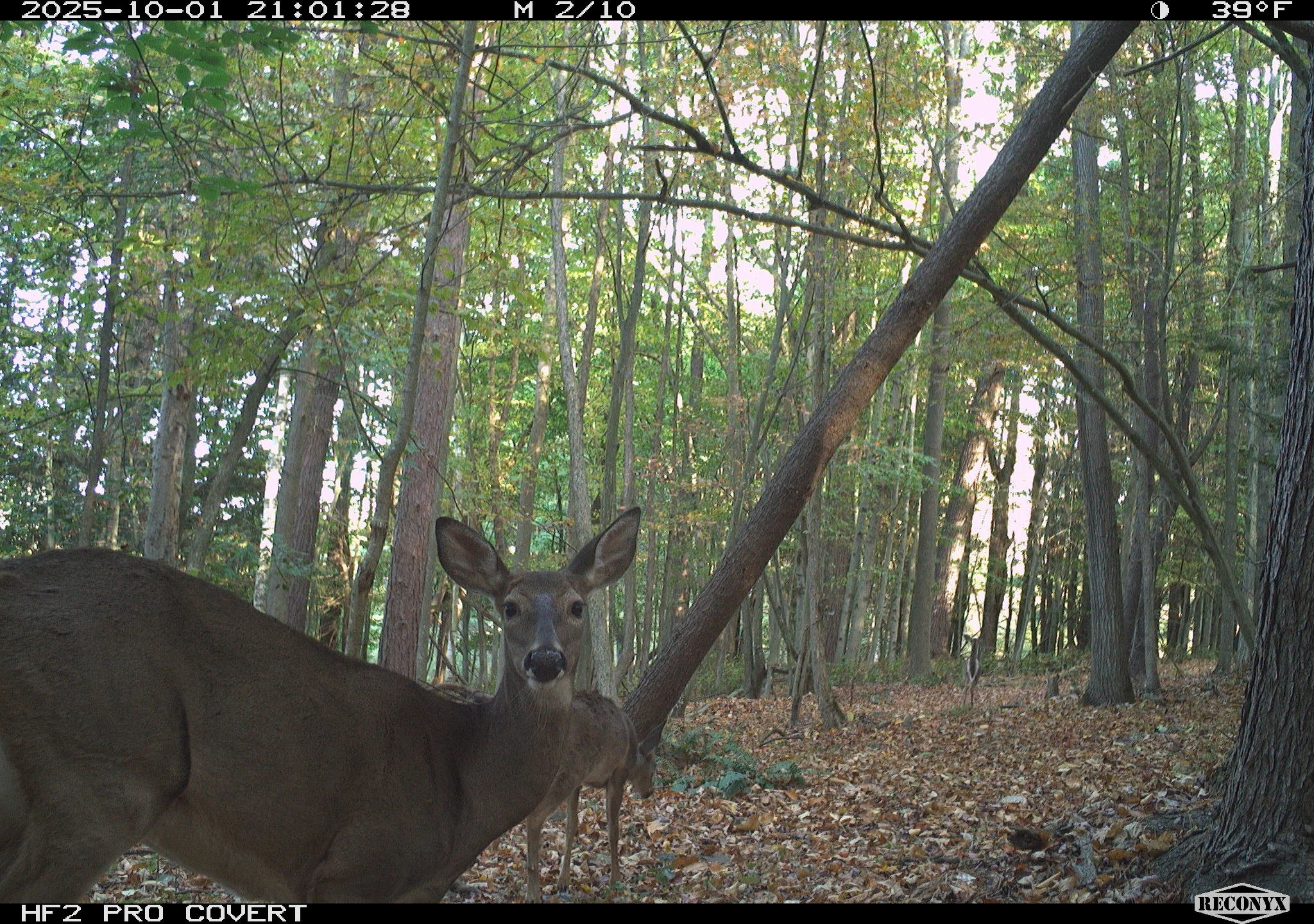 2888_AgkOHEf28mVL7dnJkZ3p_snapshot 10  25_RCNX0132.JPG