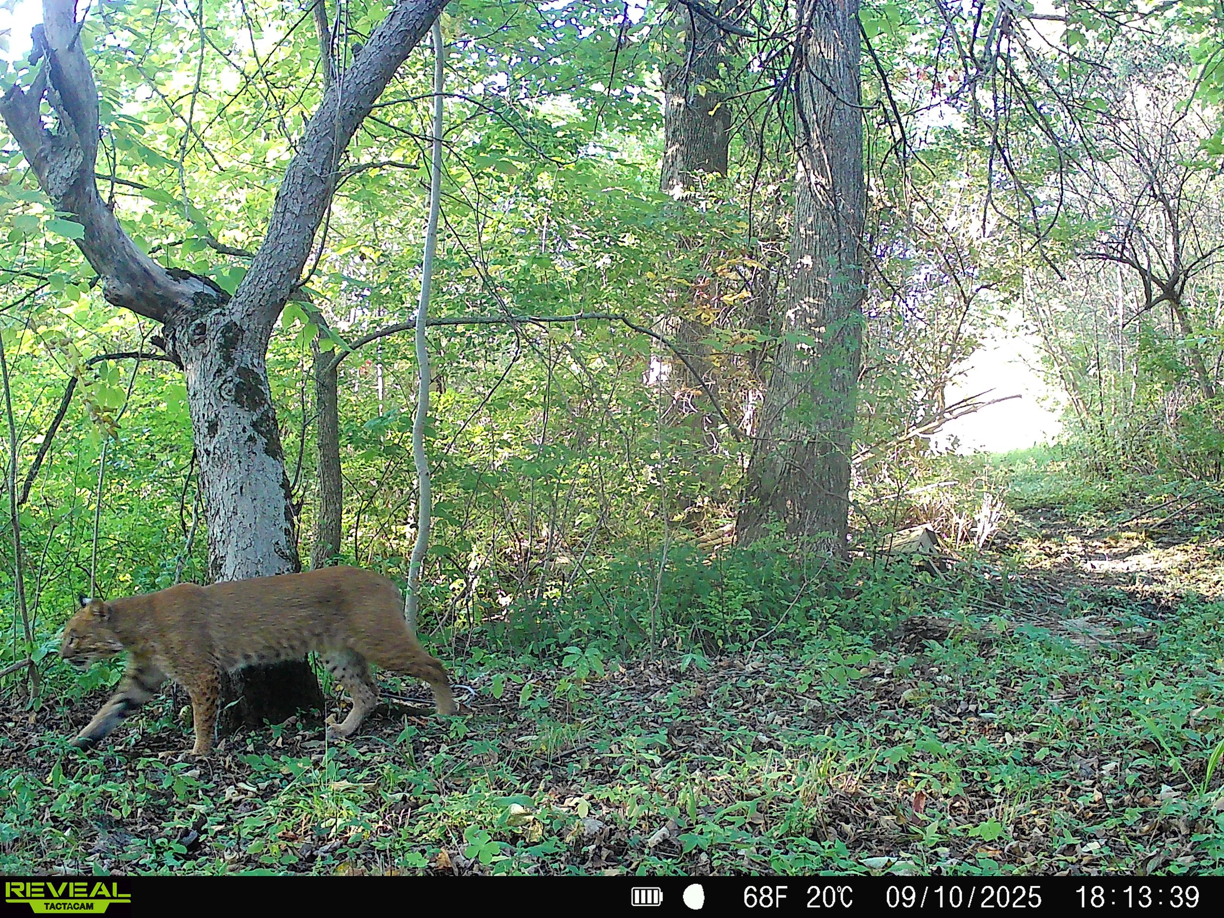 3441_mFfq8eZmCWbRuTmckTaB_Snapshot house 9-16_SYFW0801.JPG