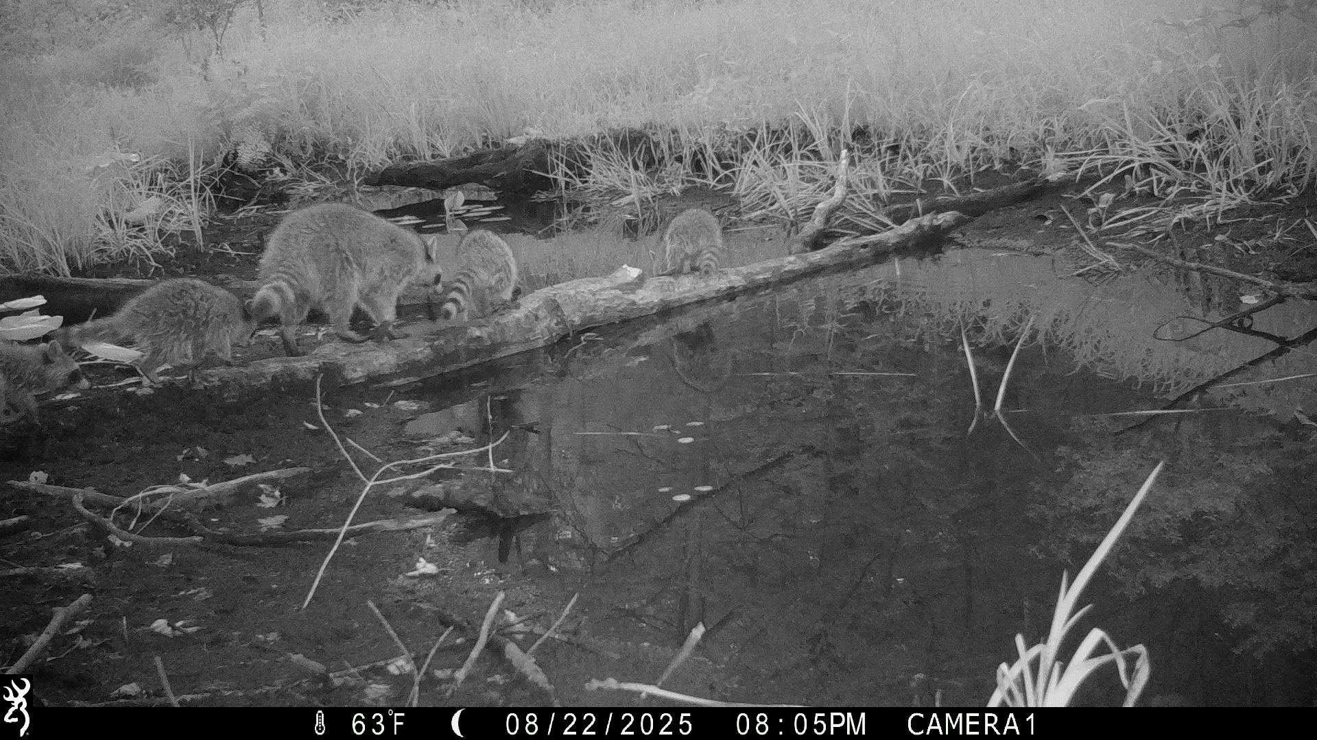 1353_tCqNssaVgJpK6uS4WvEk_snapshot 0826_IMG_0010 (2).JPG