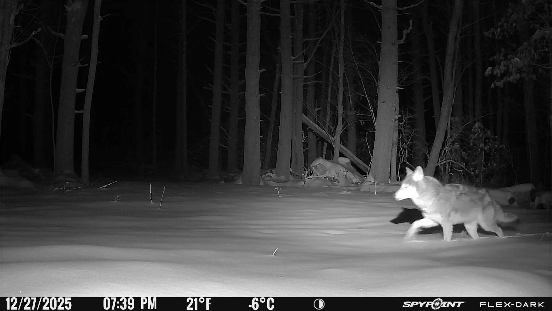 1045_240nOibTTULOwzT7Ydkf_folder 8 22 feb_PICT0059.JPG