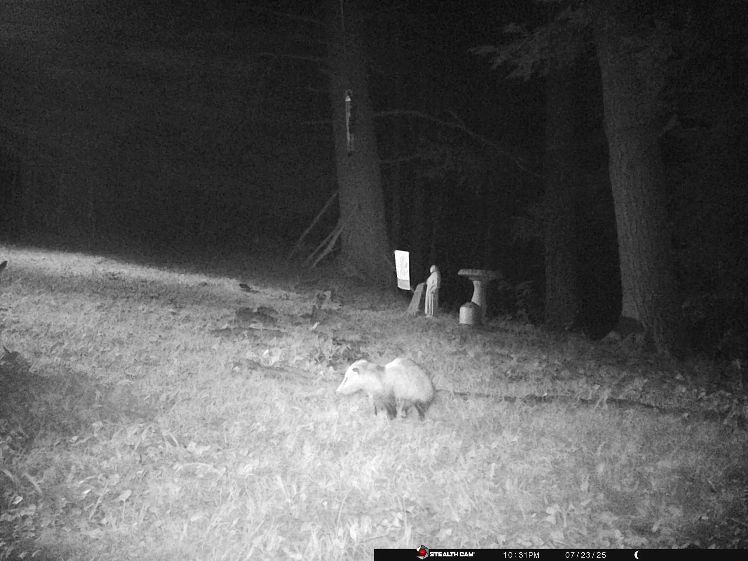 4087_Ft6onmGThOgpQPCQ9Y5K_New folder_STC_0036.JPG