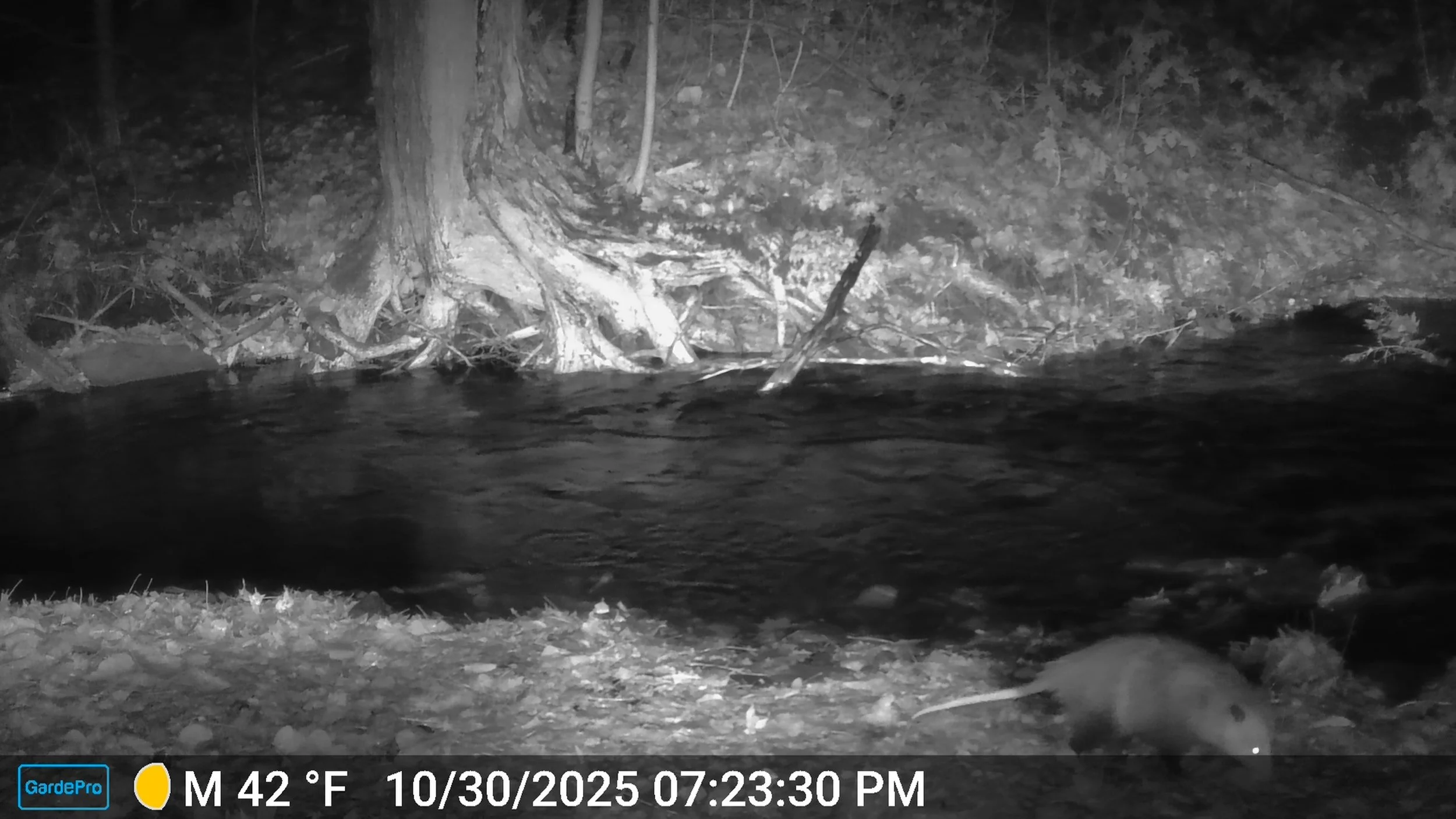 1039_Xms9hAsZpJVEyEIQY0lK_SNAPSHOT NY_DSCF0951.JPG