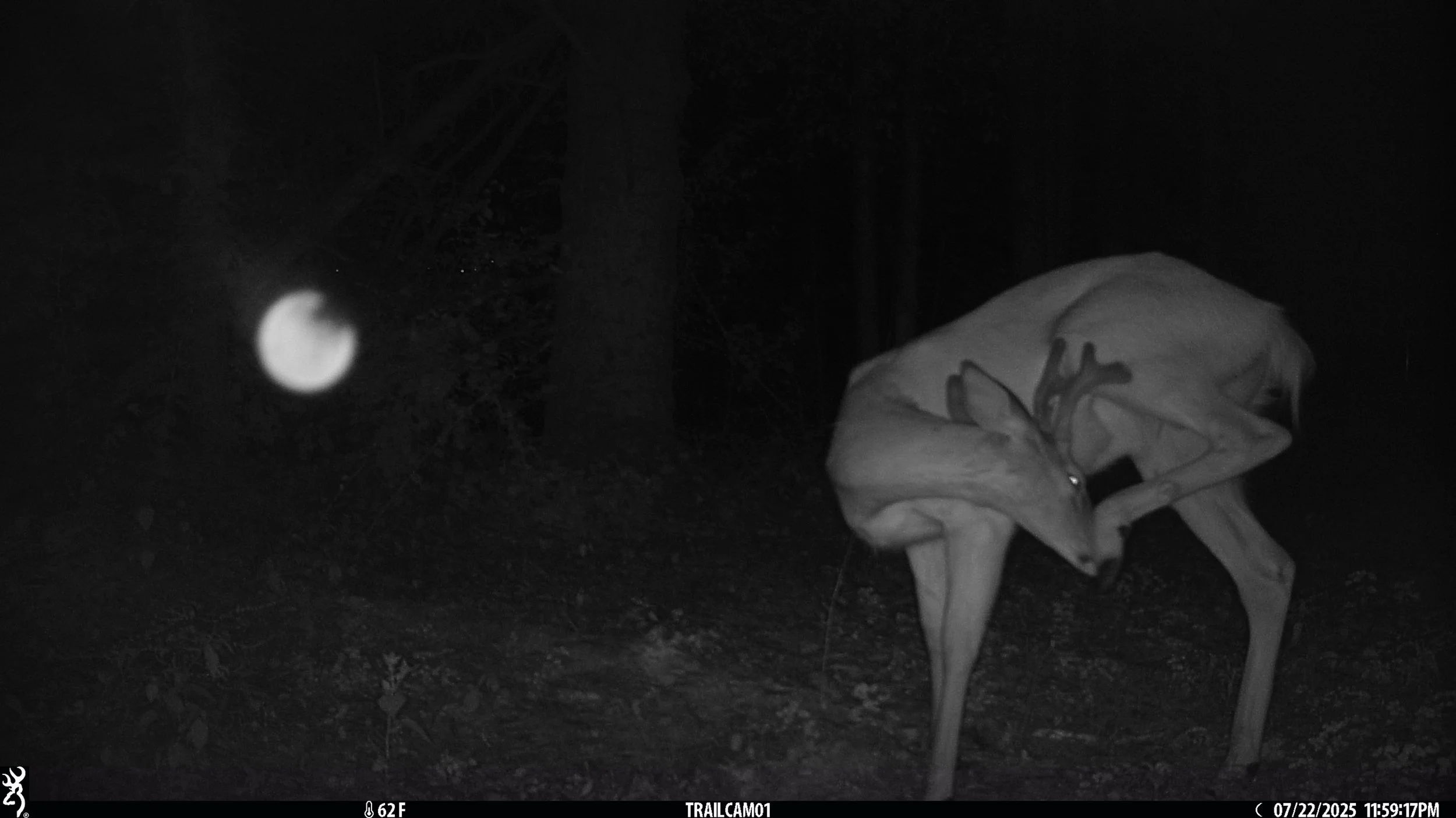 4442_44ebTuSvcZPVuL5q27Z3_7.18 thru 8.7 Snapshot NY_IMG_0513.JPG