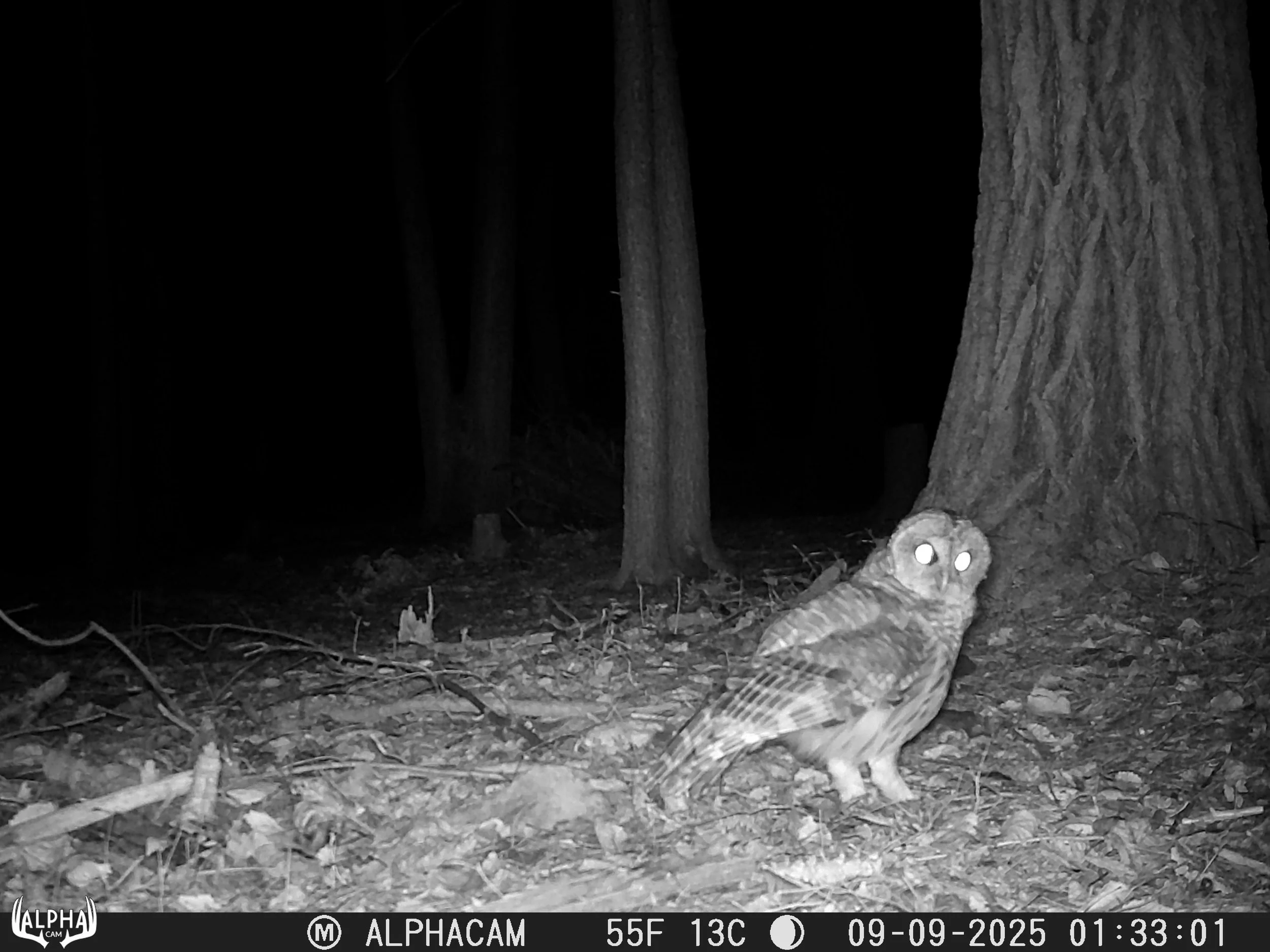 90_0XIvvPaF5JBh7PC6jYzW_September 21 2025_09090185.JPG