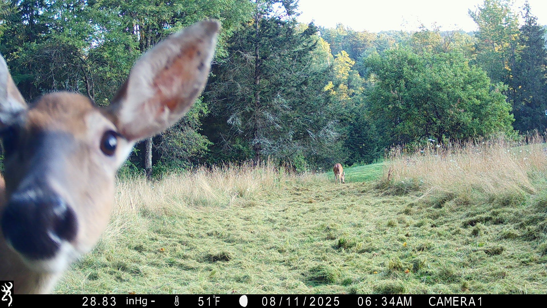 1990_aRJmWYZyEGuY0WjY5uLp_25_08_10 to 25_ 08_18_102_BTCF_IMG_0049.JPG