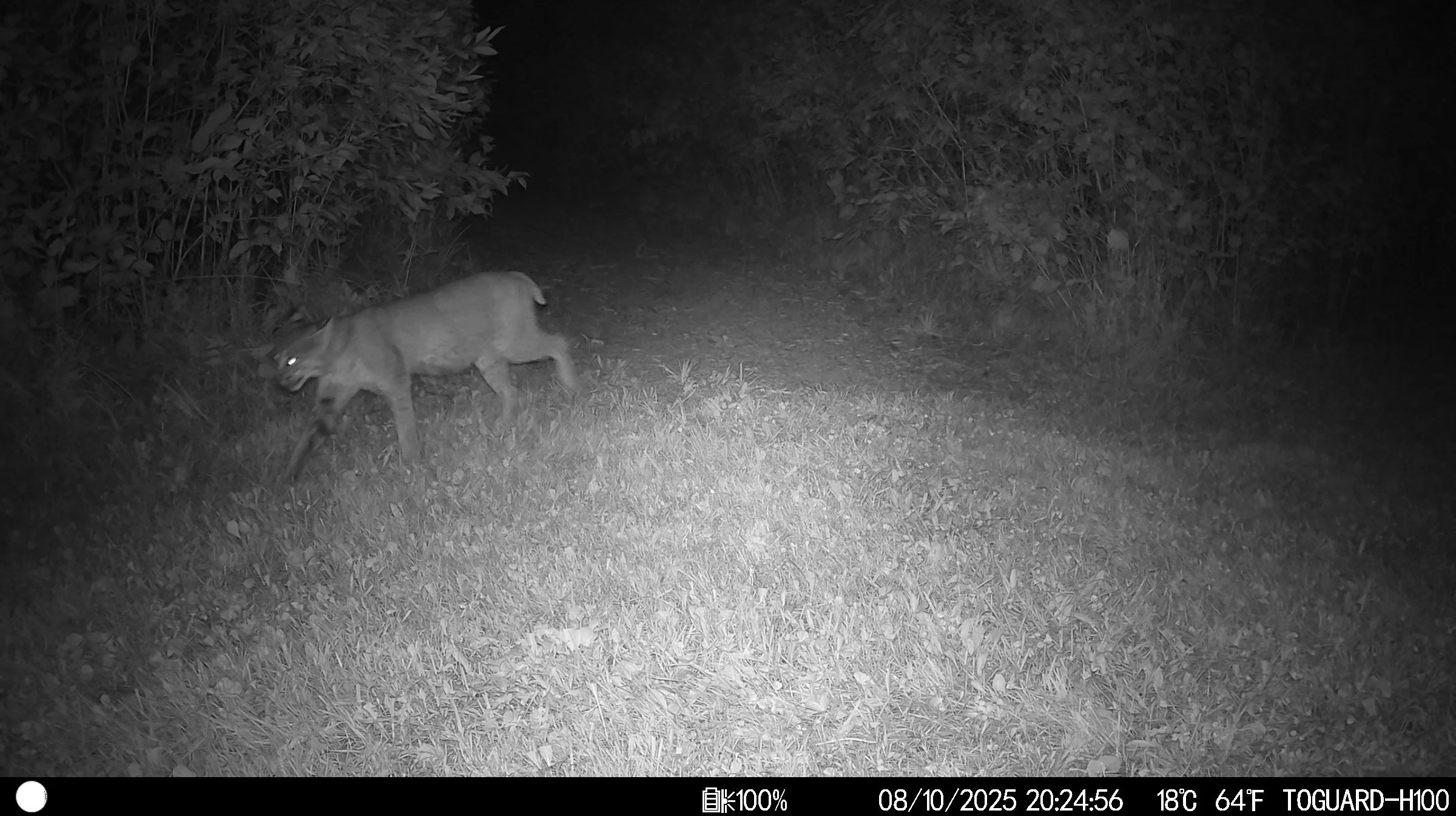 4393_29fdE8dH2pRSDdfHTR8x_8 10 2025_IM_08761.JPG