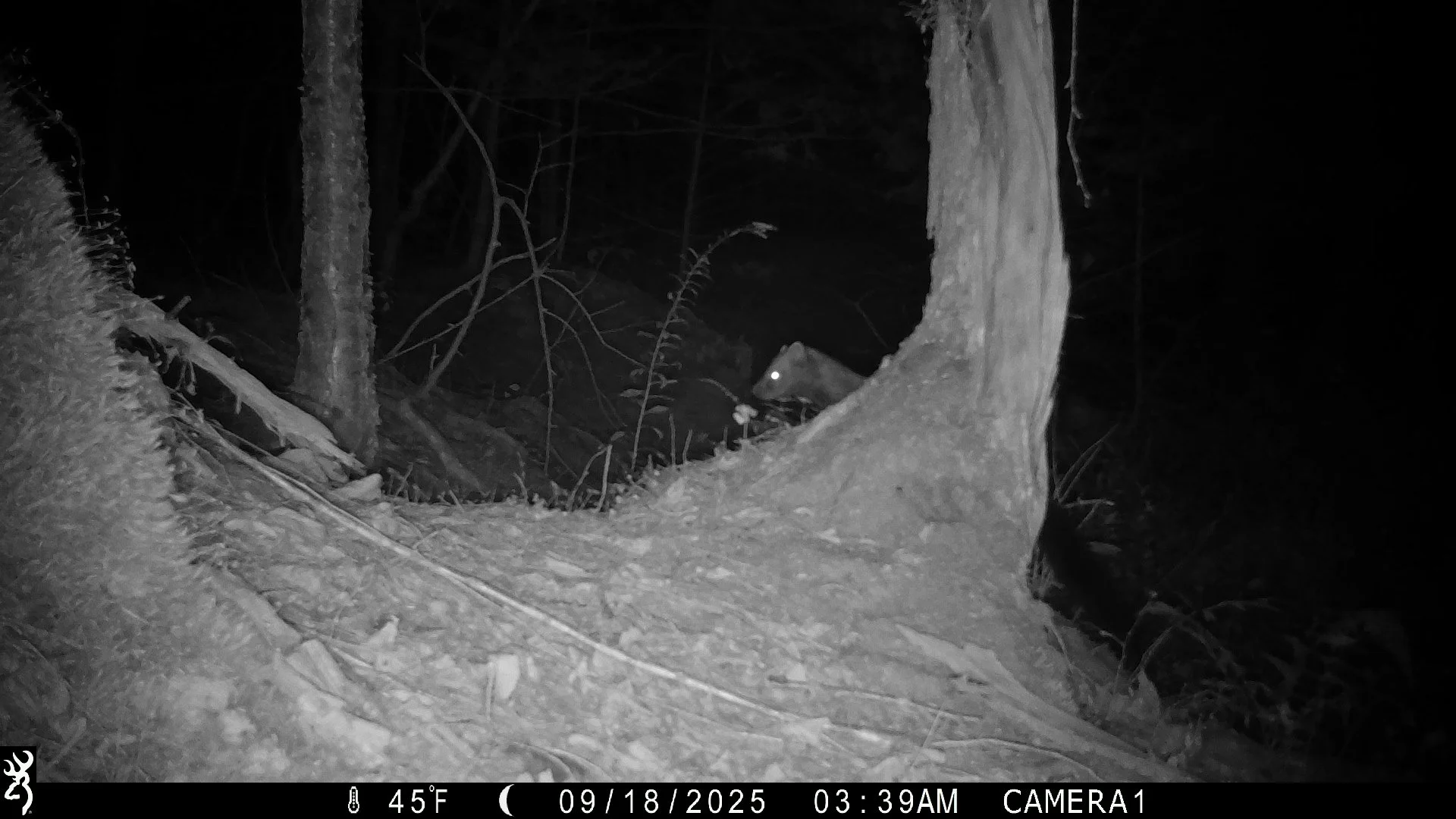 2631_OkEBSuUp3uncn4oOjpr1_2025-0919 snapshot creek_IMG_0289.JPG
