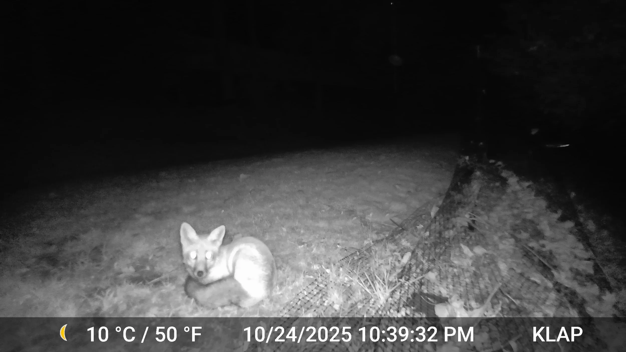 3893_28l2BfK4gZYzNSmQiOFk_Oct 15 to Nov 4 2025_DSCF0363.JPG