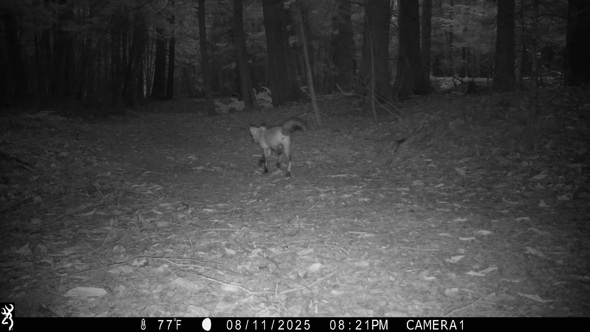 1353_TSe9BTvQrbGf5aQso4AK_snapshot 0812_IMG_0342.JPG